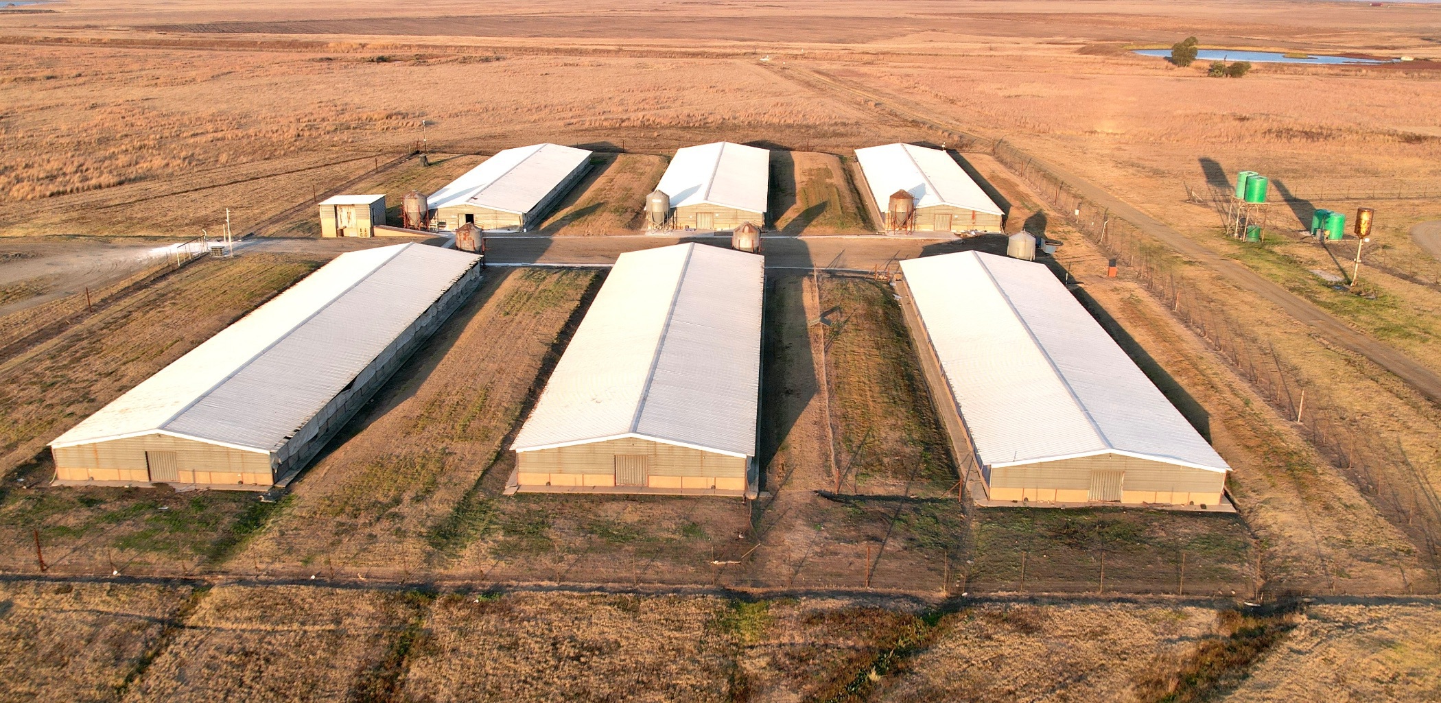 293.38 hectare Poultry Farm For Sale Secunda PRN1617937 Pam