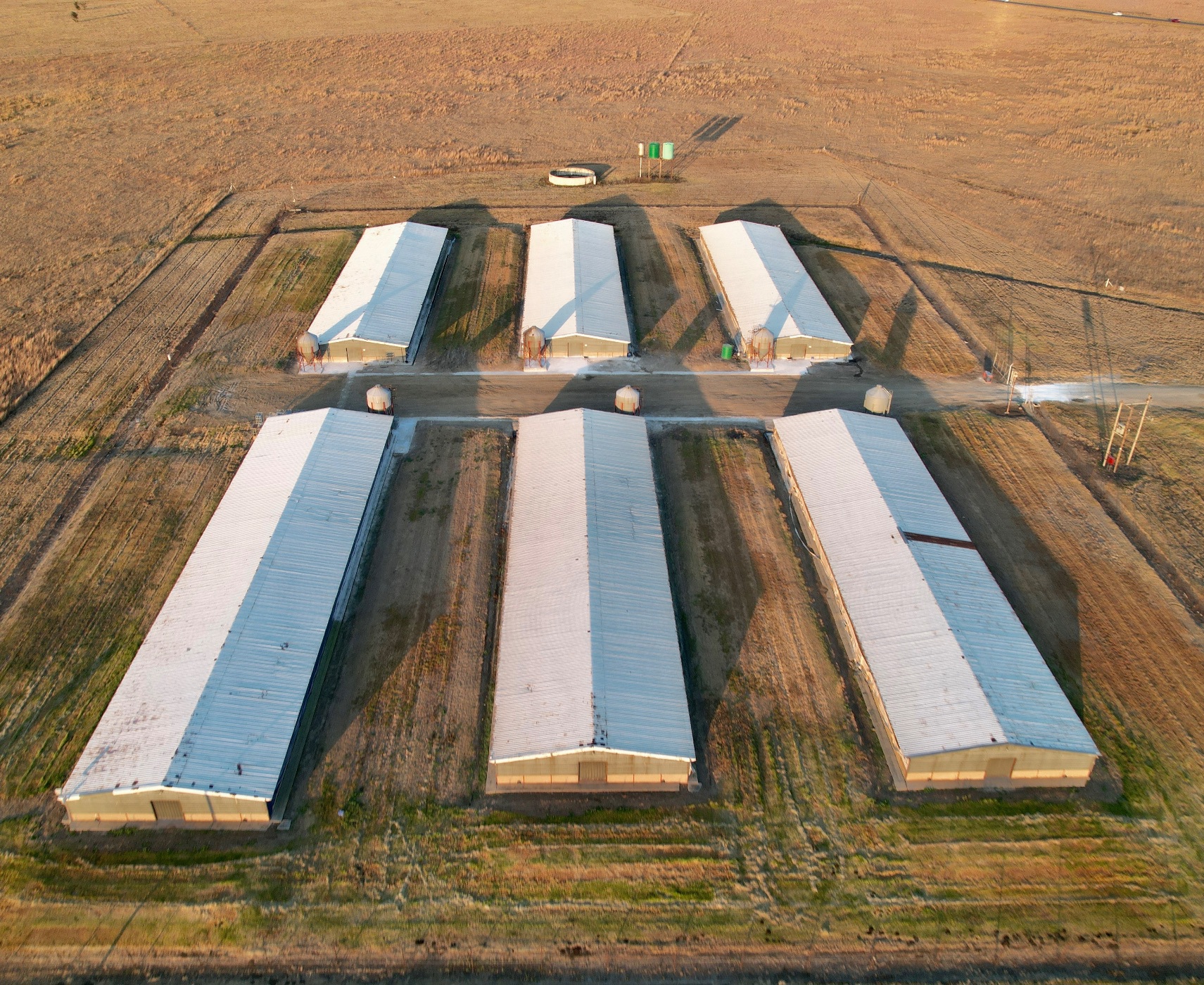 293.38 hectare Poultry Farm For Sale Secunda PRN1617937 Pam