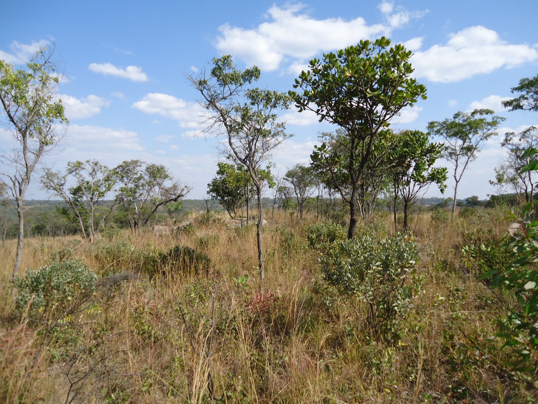 3.4 hectare farm vacant land for sale in Ruwa (Zimbabwe)
