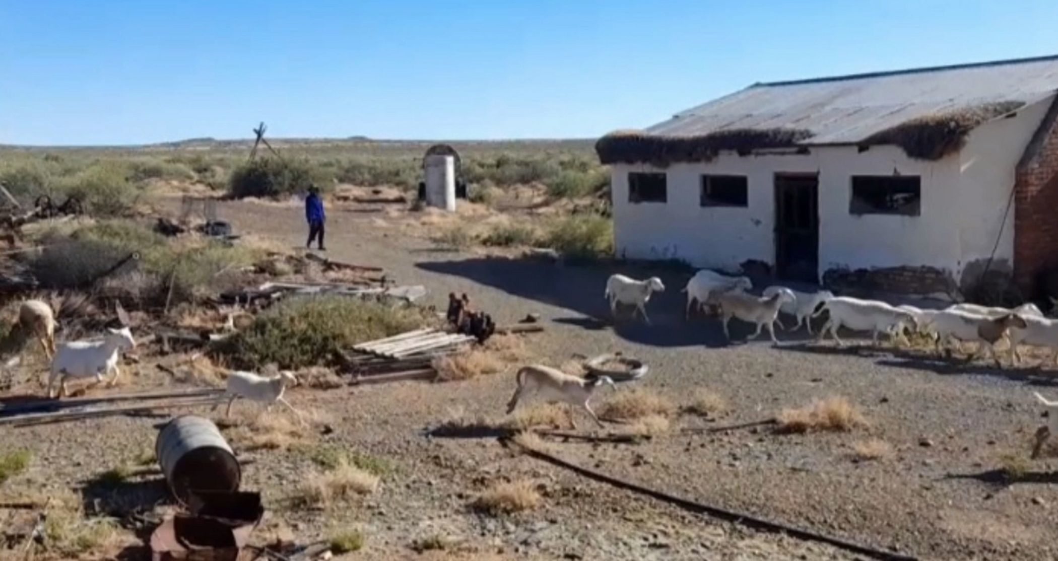 11168 hectare Livestock Farm For Sale Van Wyksvlei (Northern Cape
