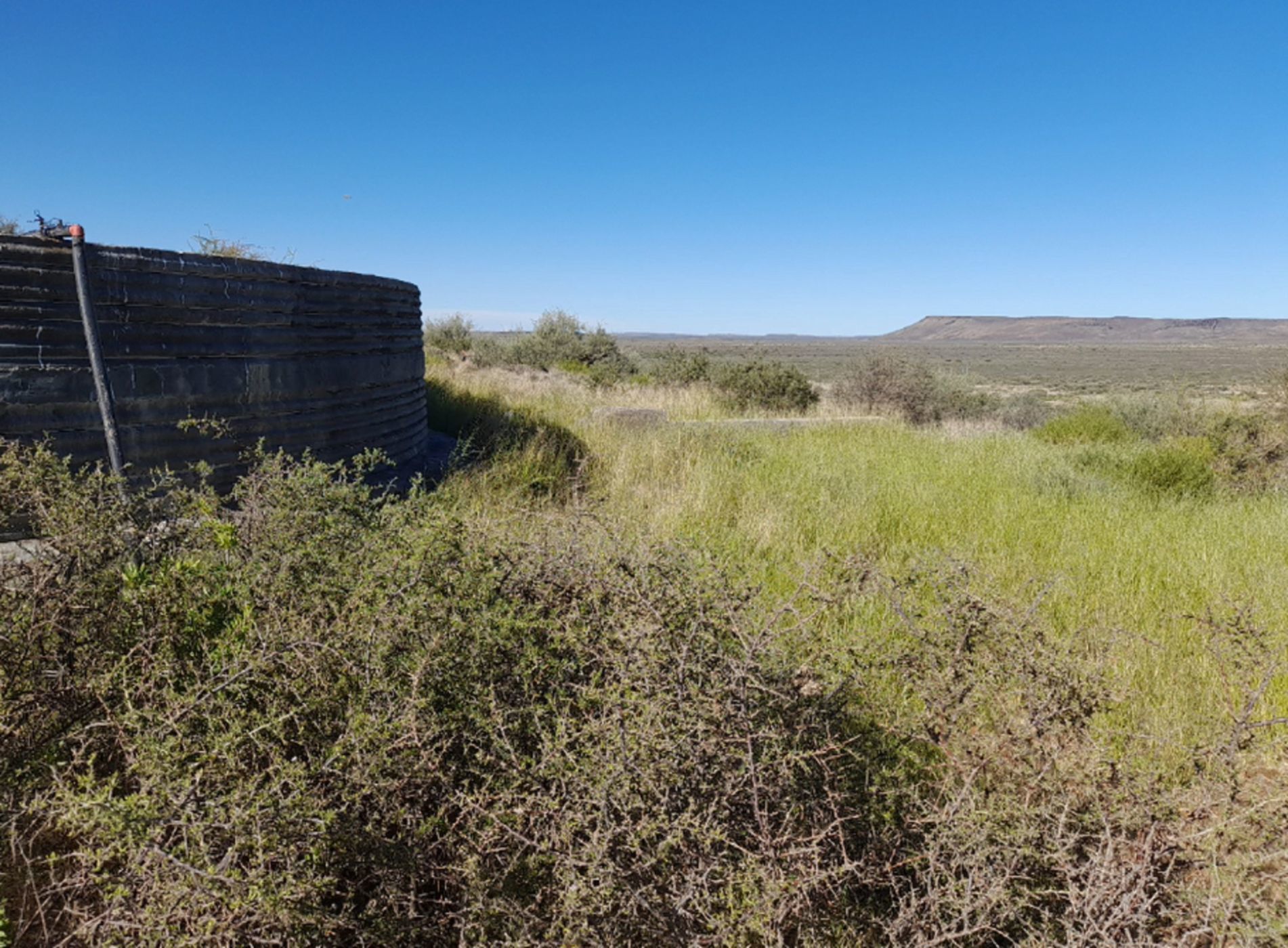 11168 hectare Livestock Farm For Sale Van Wyksvlei (Northern Cape