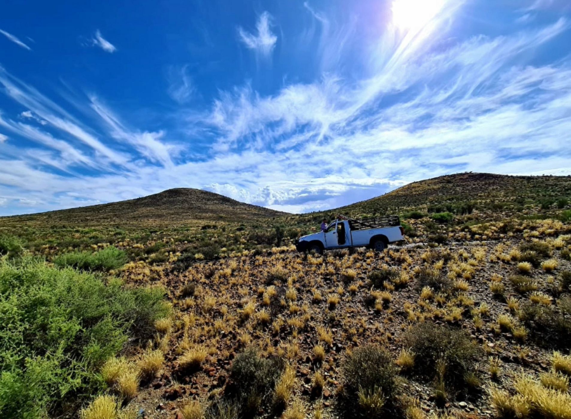 11168 hectare Livestock Farm For Sale Van Wyksvlei (Northern Cape