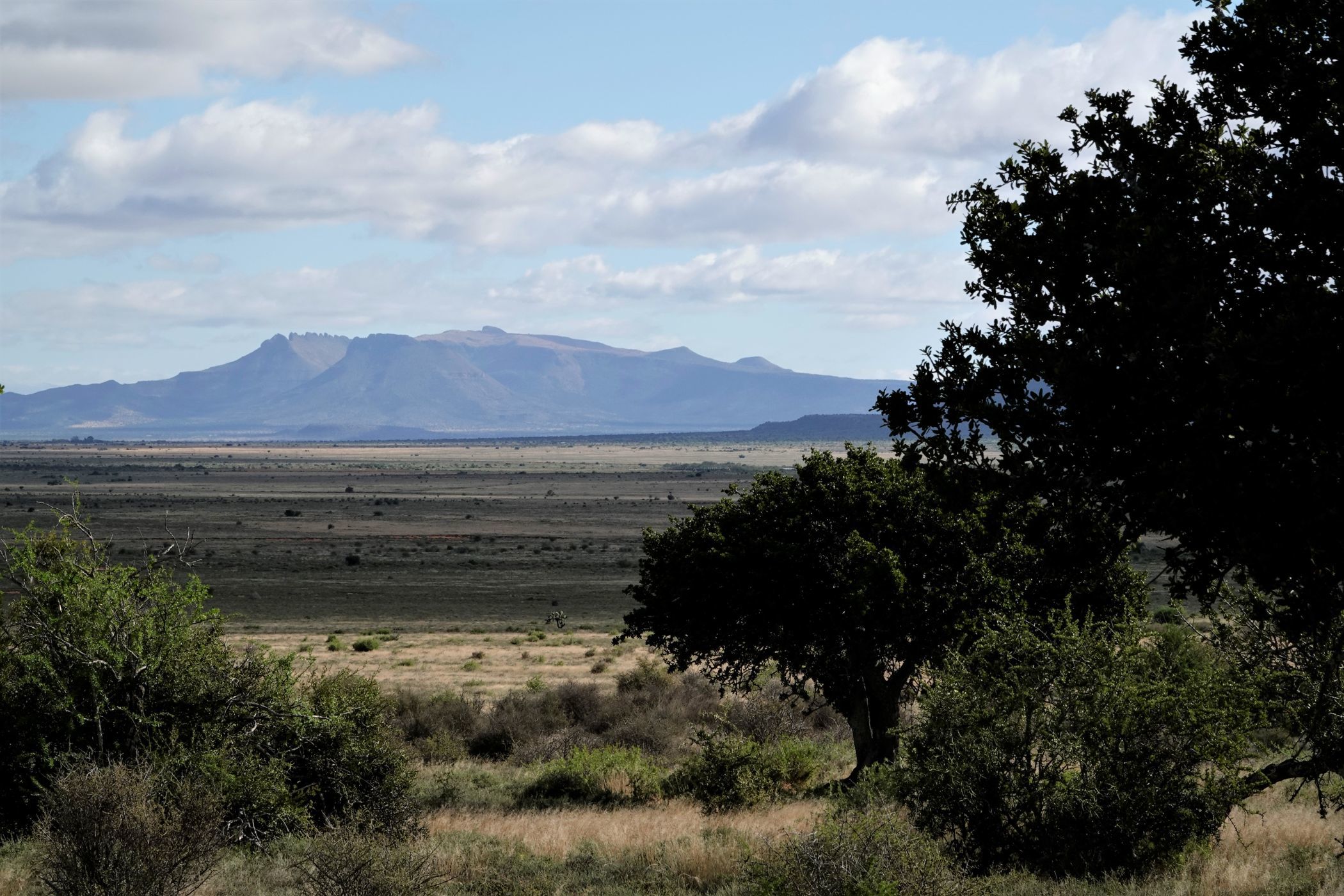 7229 Hectare Livestock Farm For Sale Graaff Reinet Rural 1kk1622151