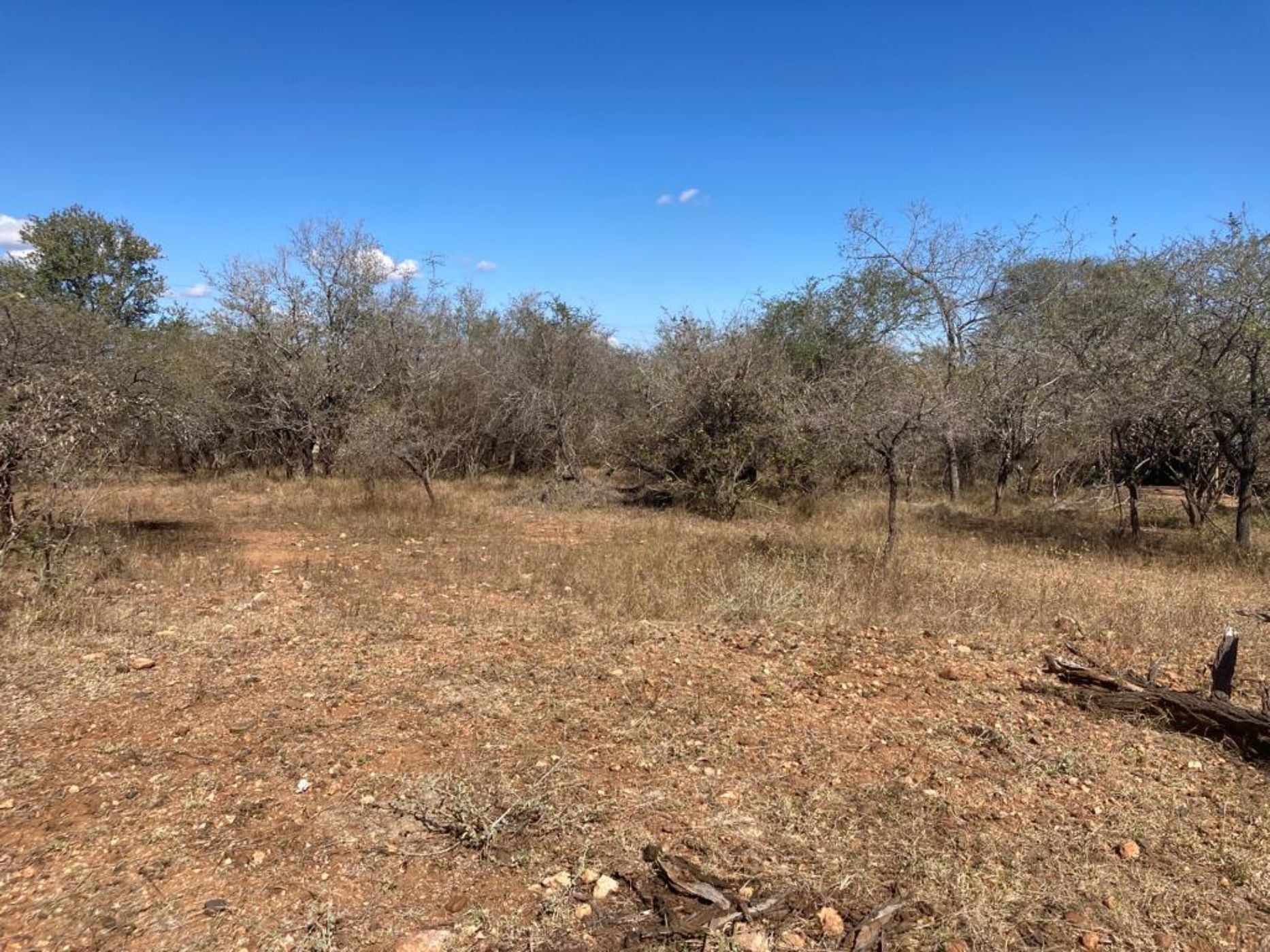 2087 m2 Vacant Land For Sale Marloth Park 1NK1622035 Pam Golding