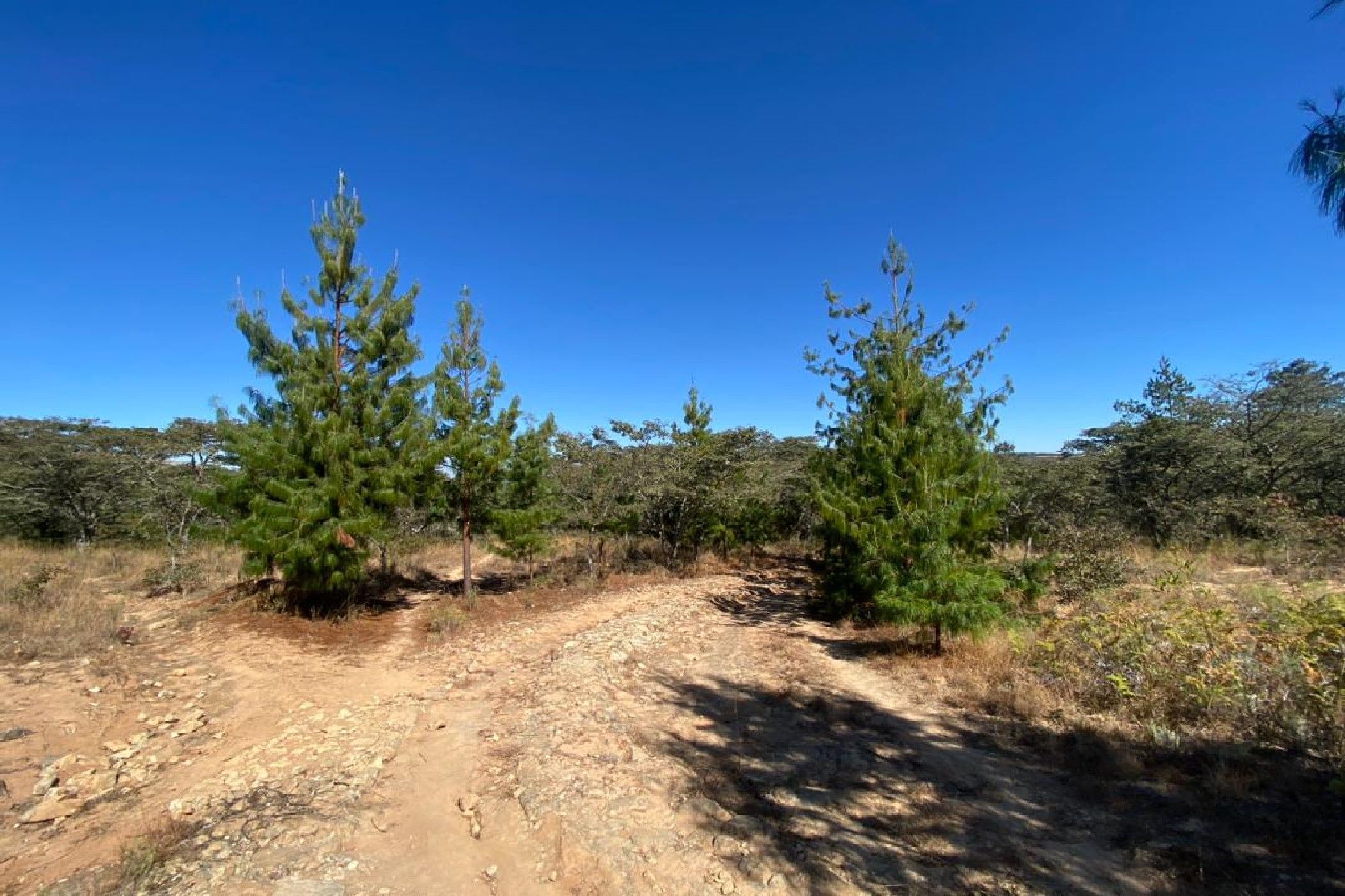 25305 m2 Vacant Land For Sale Juliasdale (Zimbabwe) 3ZB1619962 Pam Golding Properties