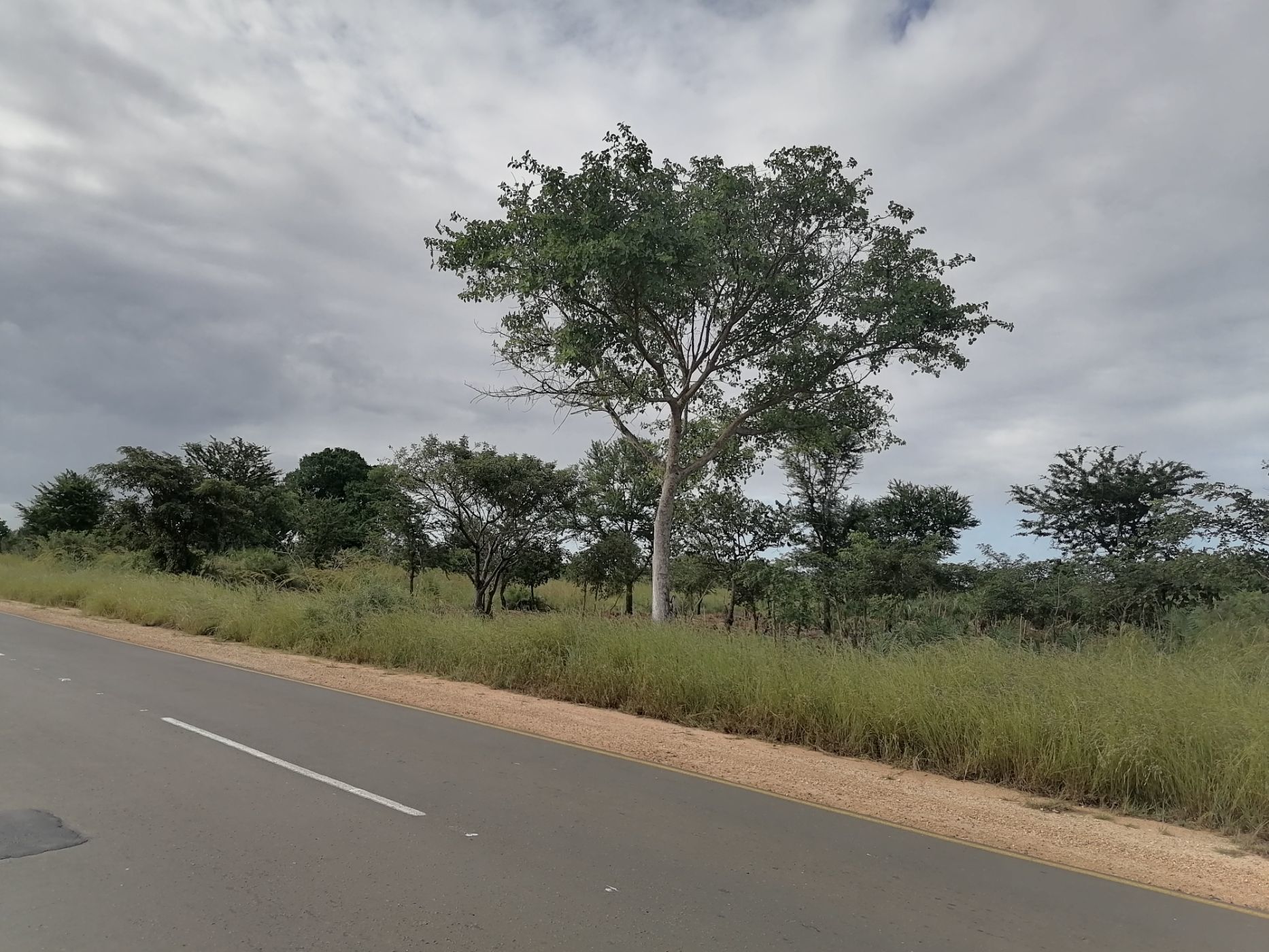 30000 m&sup2; vacant land for investment in Inhassoro (Mozambique)