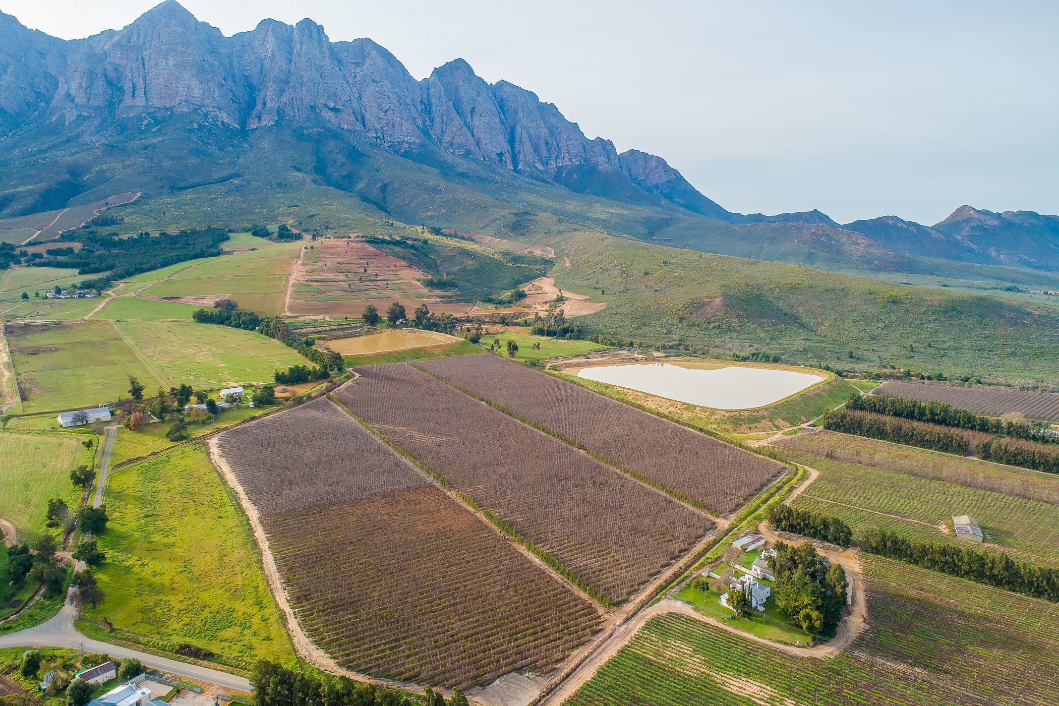 34.1 hectare Fruit Farm For Sale Worcester Rural TK1621246 Pam