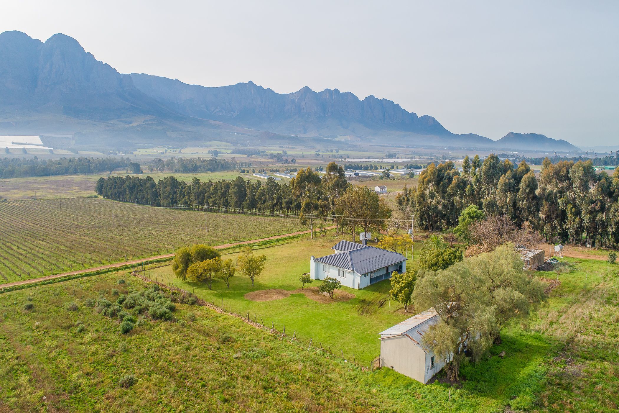 108.4 hectare fruit farm for sale in Worcester Rural