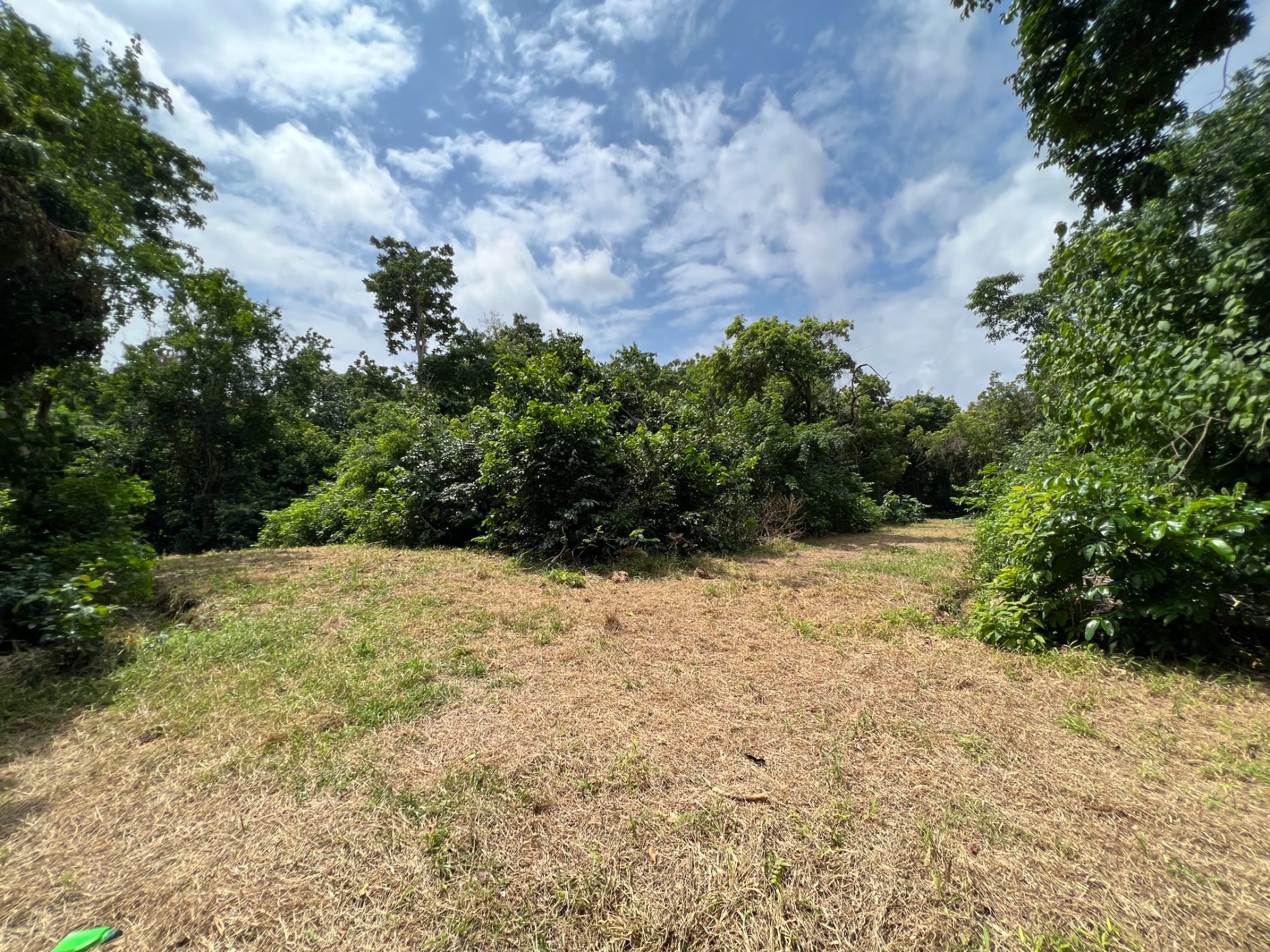 0.34 acres residential vacant land for sale in Diani (Kenya)