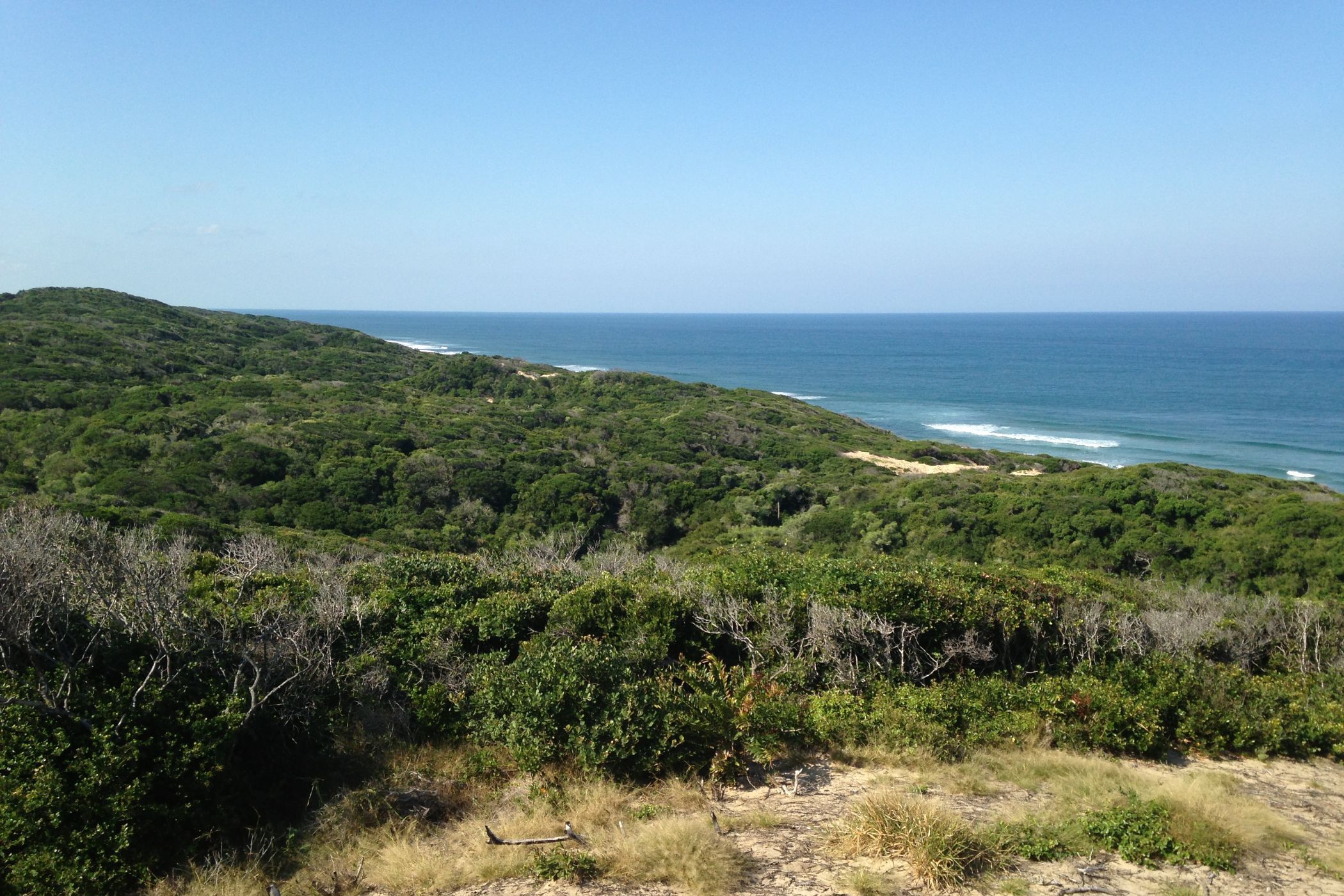 18 hectare vacant land for investment in Chidenguele (Gaza, Mozambique)