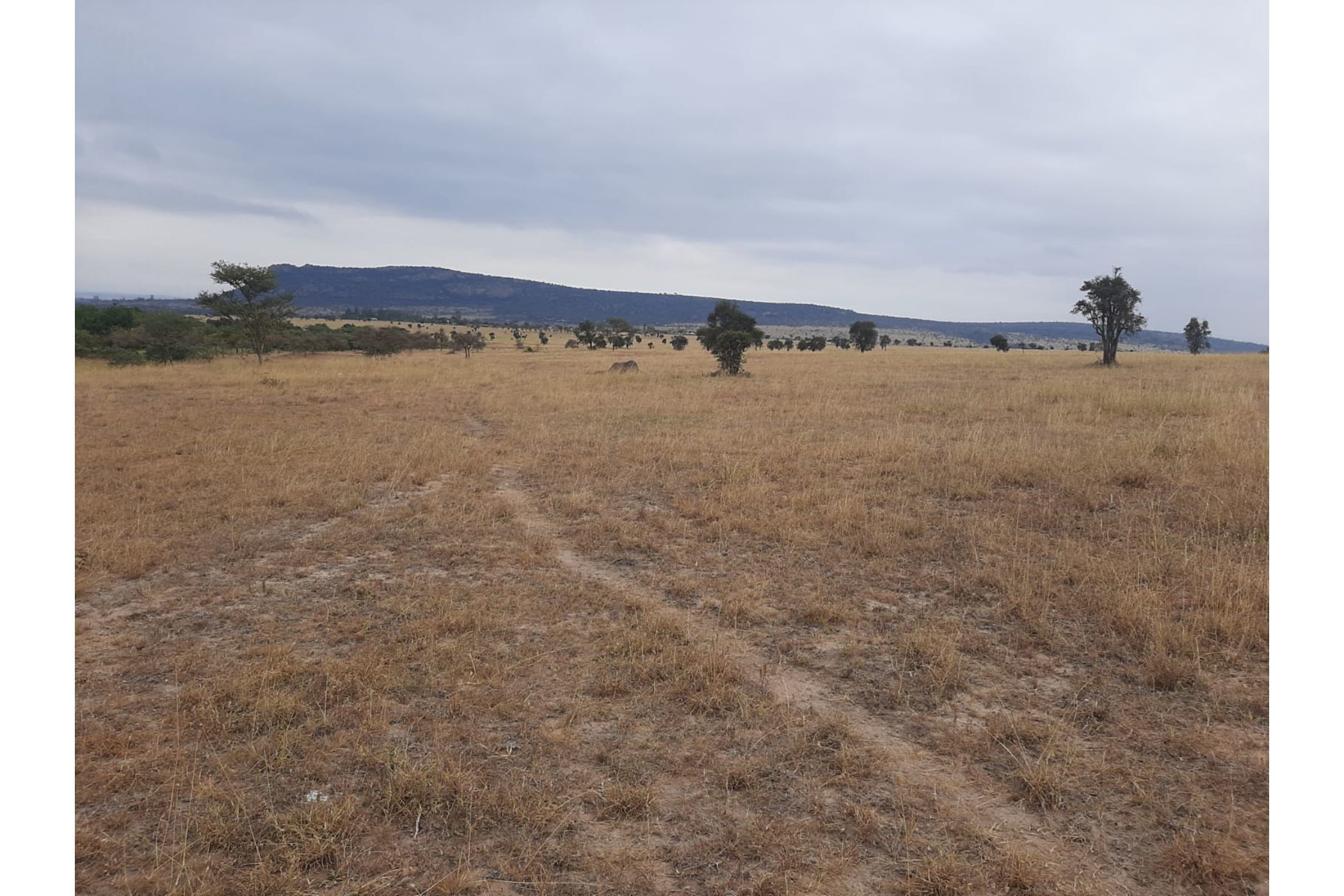5 acres residential vacant land for sale in Athi River (Kenya)