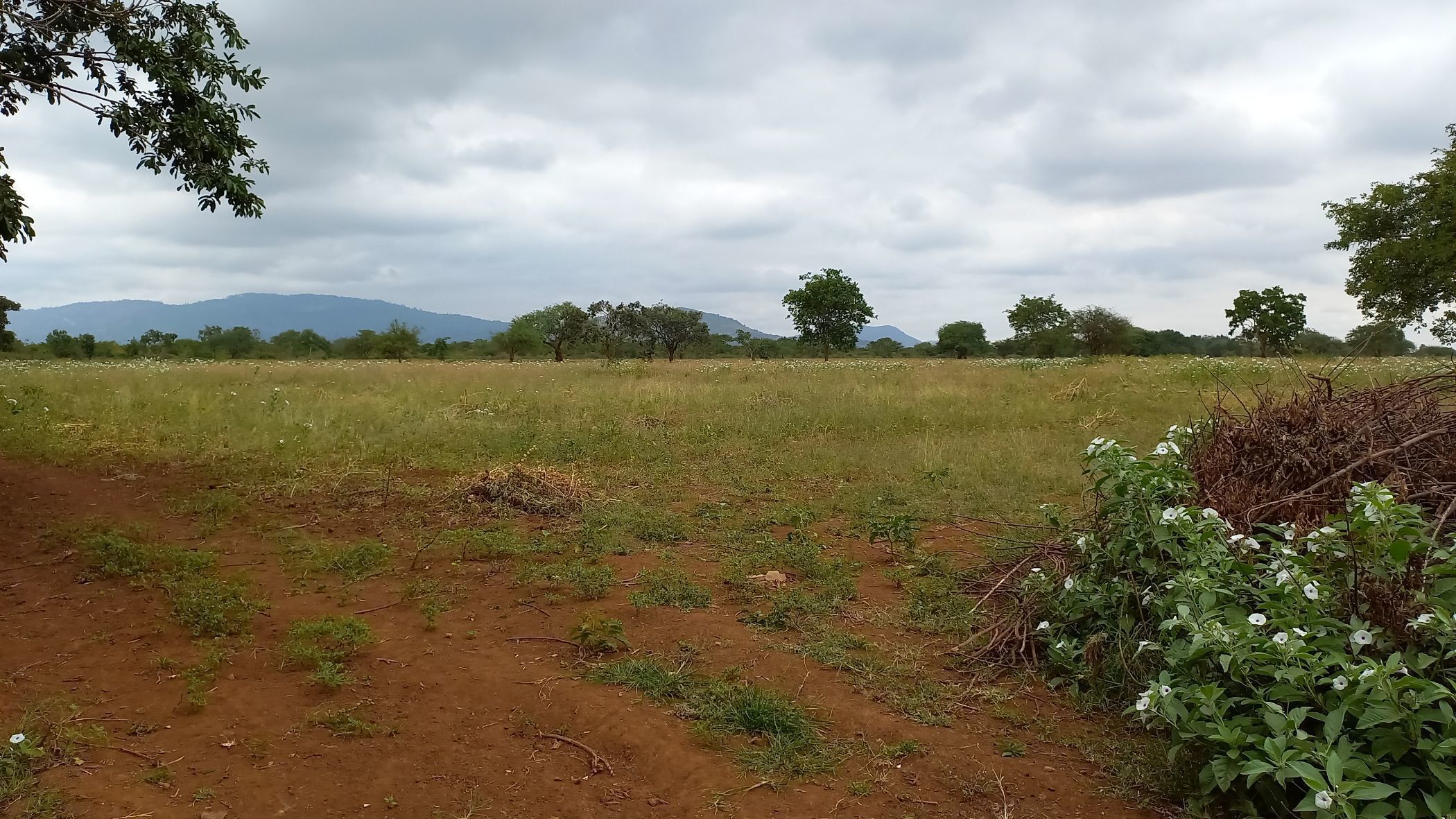 50 acres vacant land for sale in Mombasa Road (Kenya)