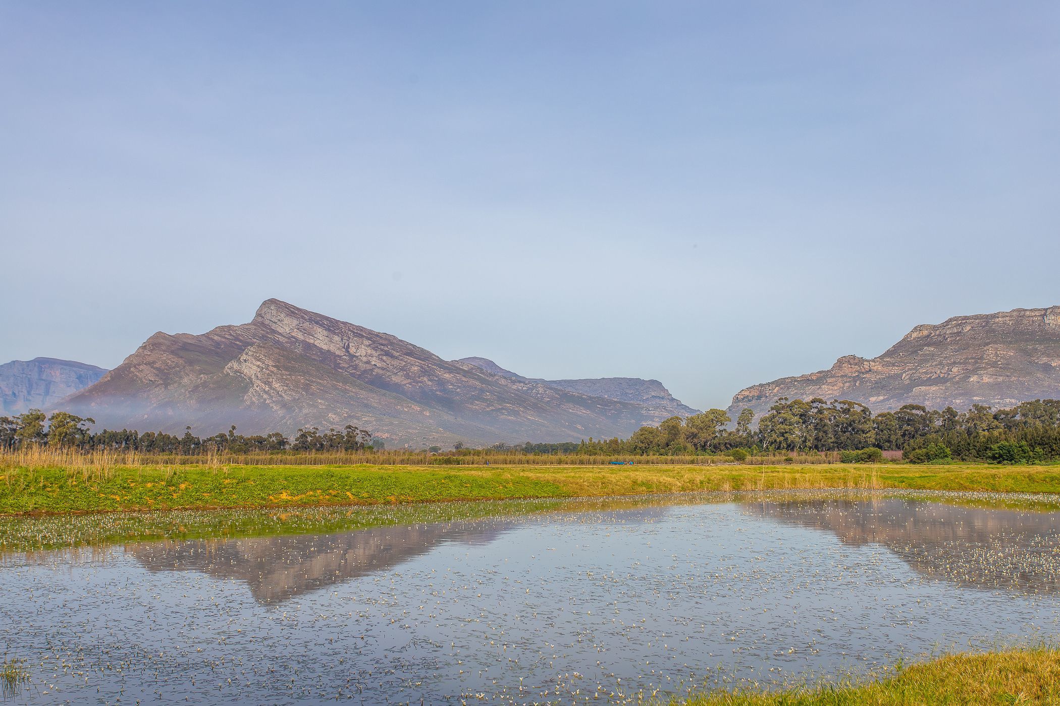 98.15 hectare Fruit Farm For Sale Worcester Rural TK1623647 Pam