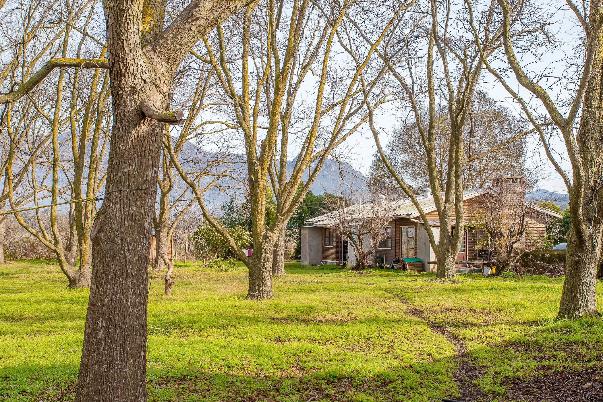 98.15 hectare Fruit Farm For Sale Worcester Rural TK1623647 Pam