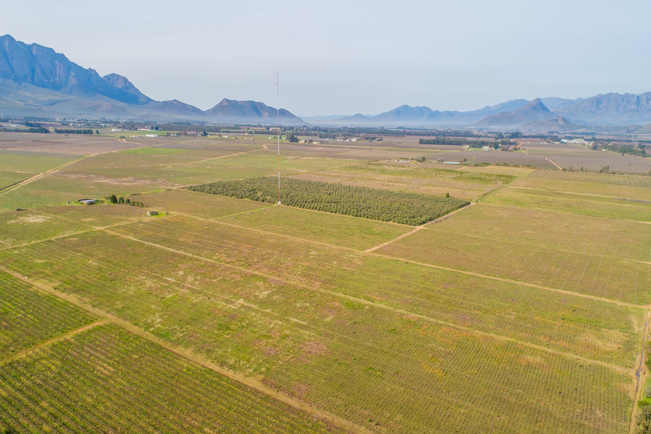 98.15 hectare Fruit Farm For Sale Worcester Rural TK1623647 Pam