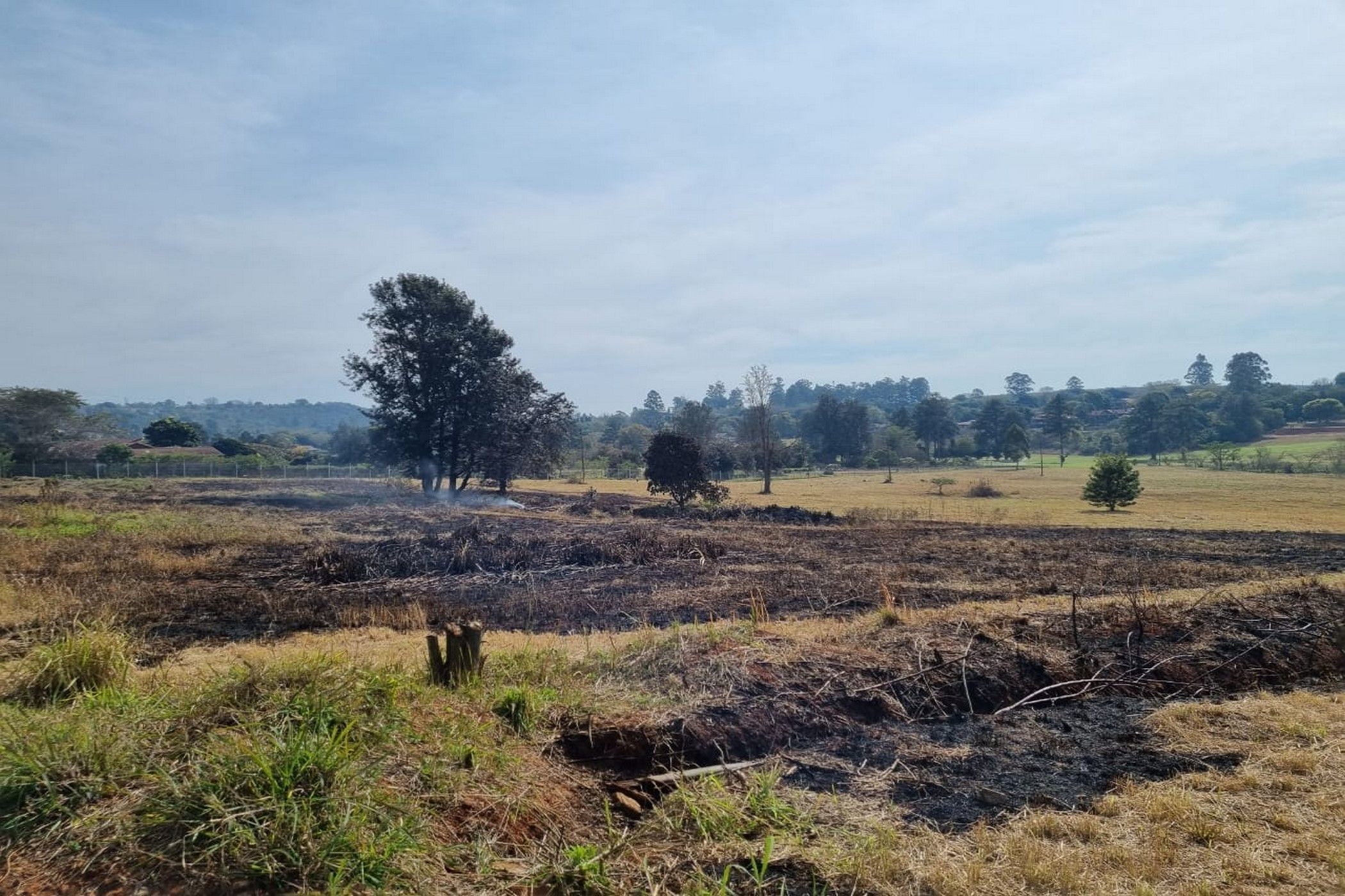 17770 m2 Residential Vacant Land For Sale White River 1WR1623229