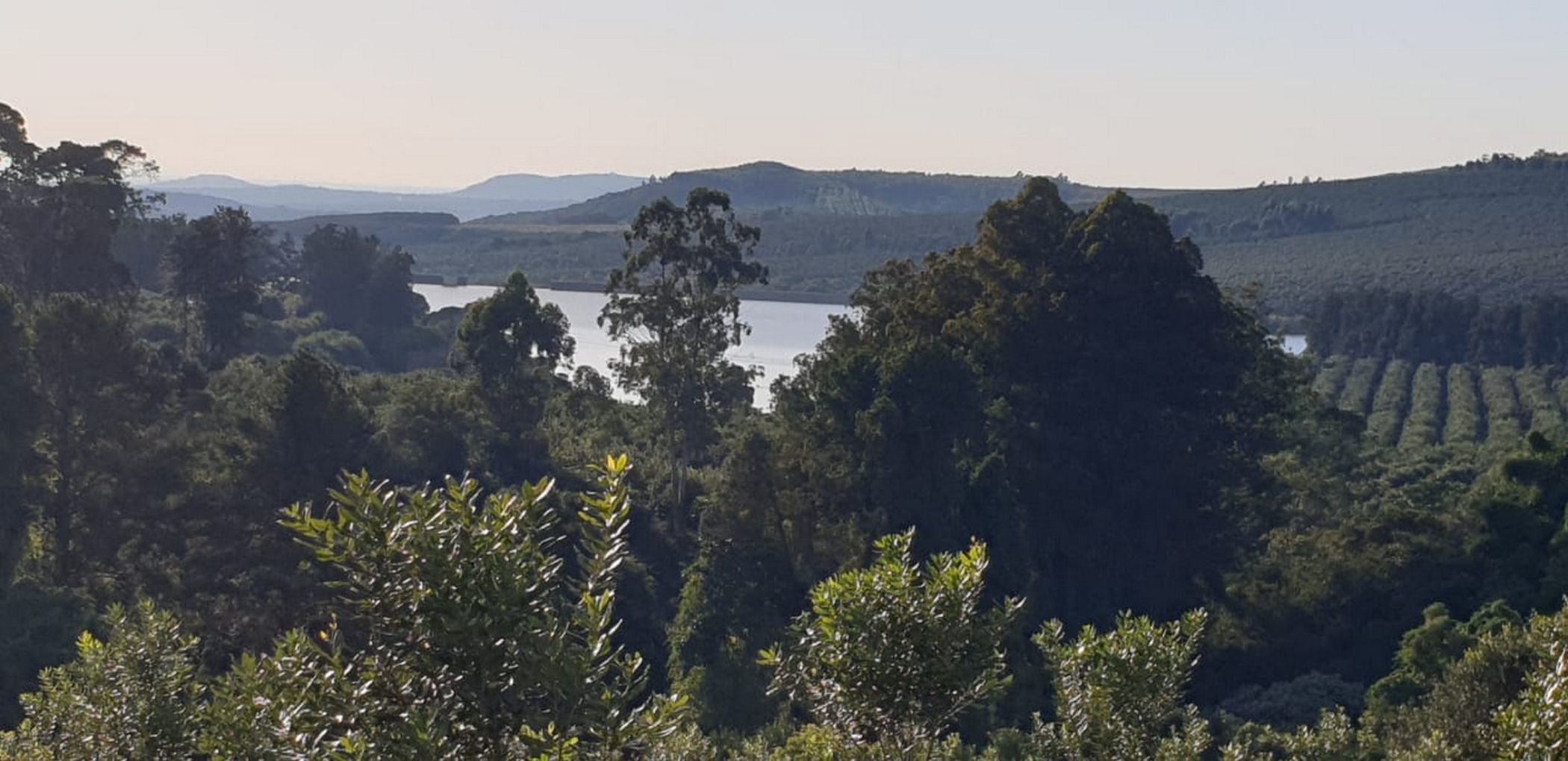 76100 m2 Farm Vacant Land For Sale White River Rural 1WR1615902