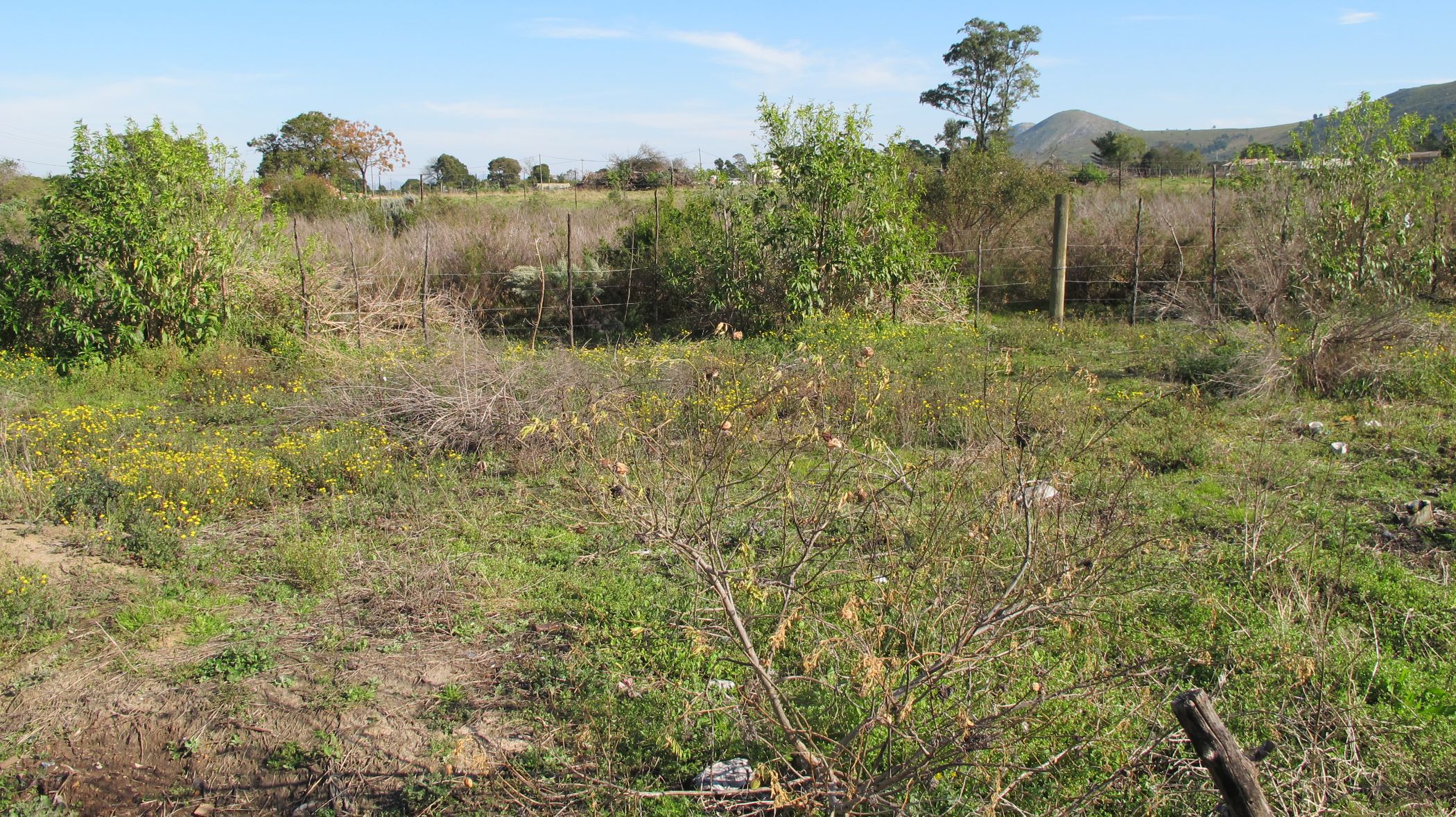 8565 m2 Vacant Land For Sale | Humansdorp | 1JF1625037 | Pam Golding ...