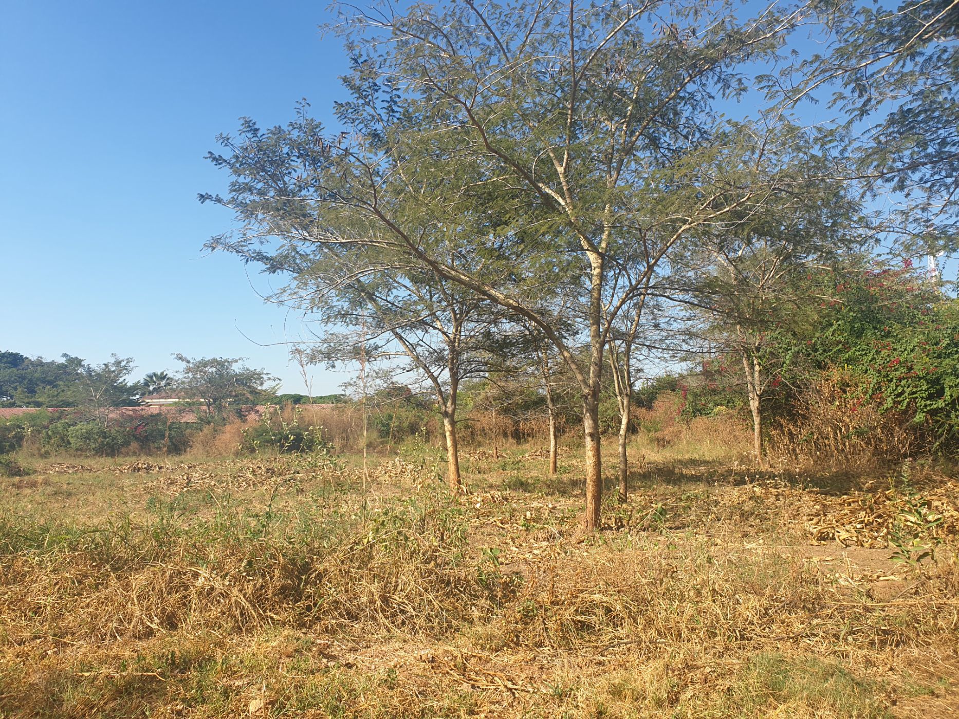 804 m2 Residential Vacant Land For Sale Kafue (Zambia) 3ZA1623762