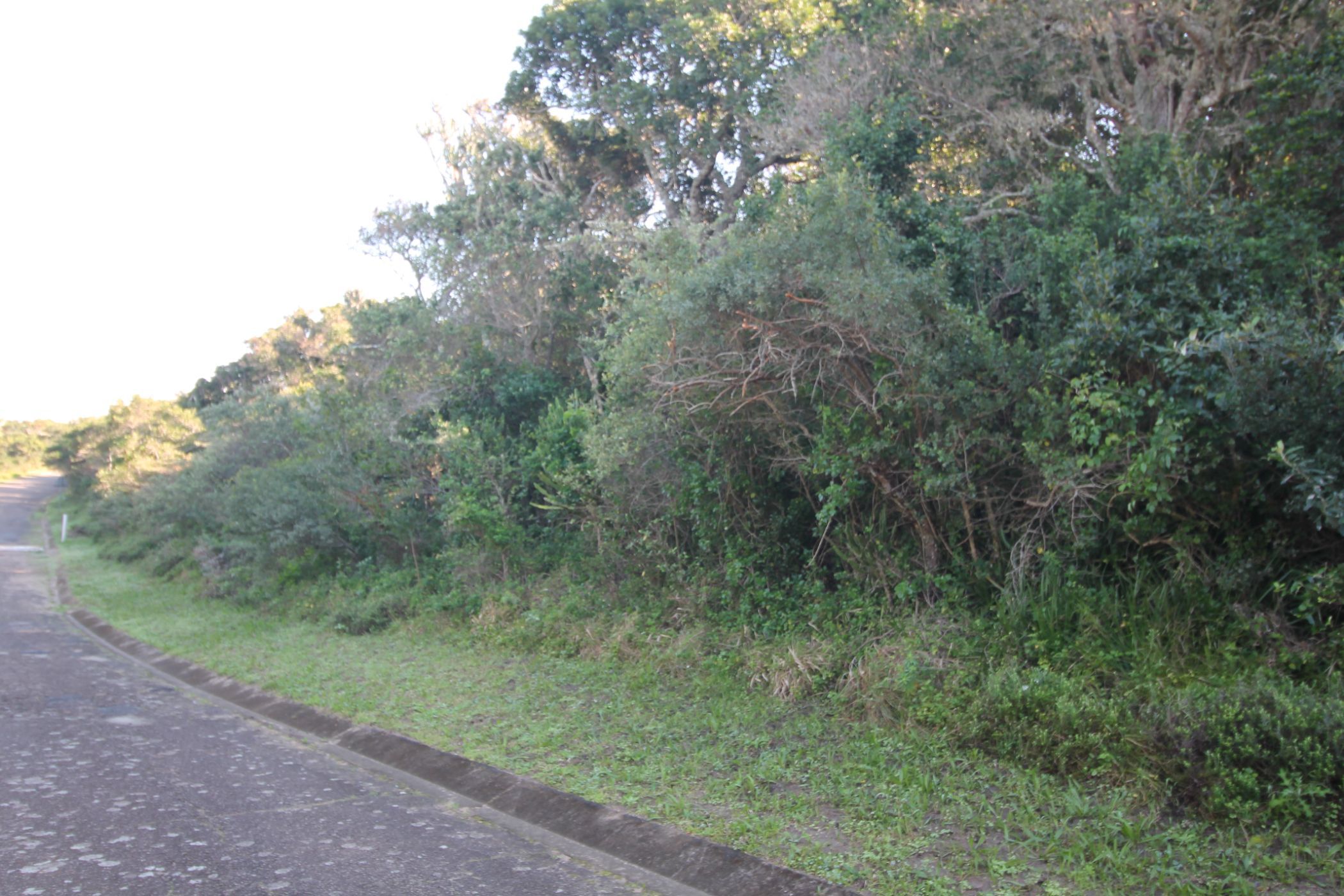 702 m&sup2; vacant land for sale in Seafield (Port Alfred)