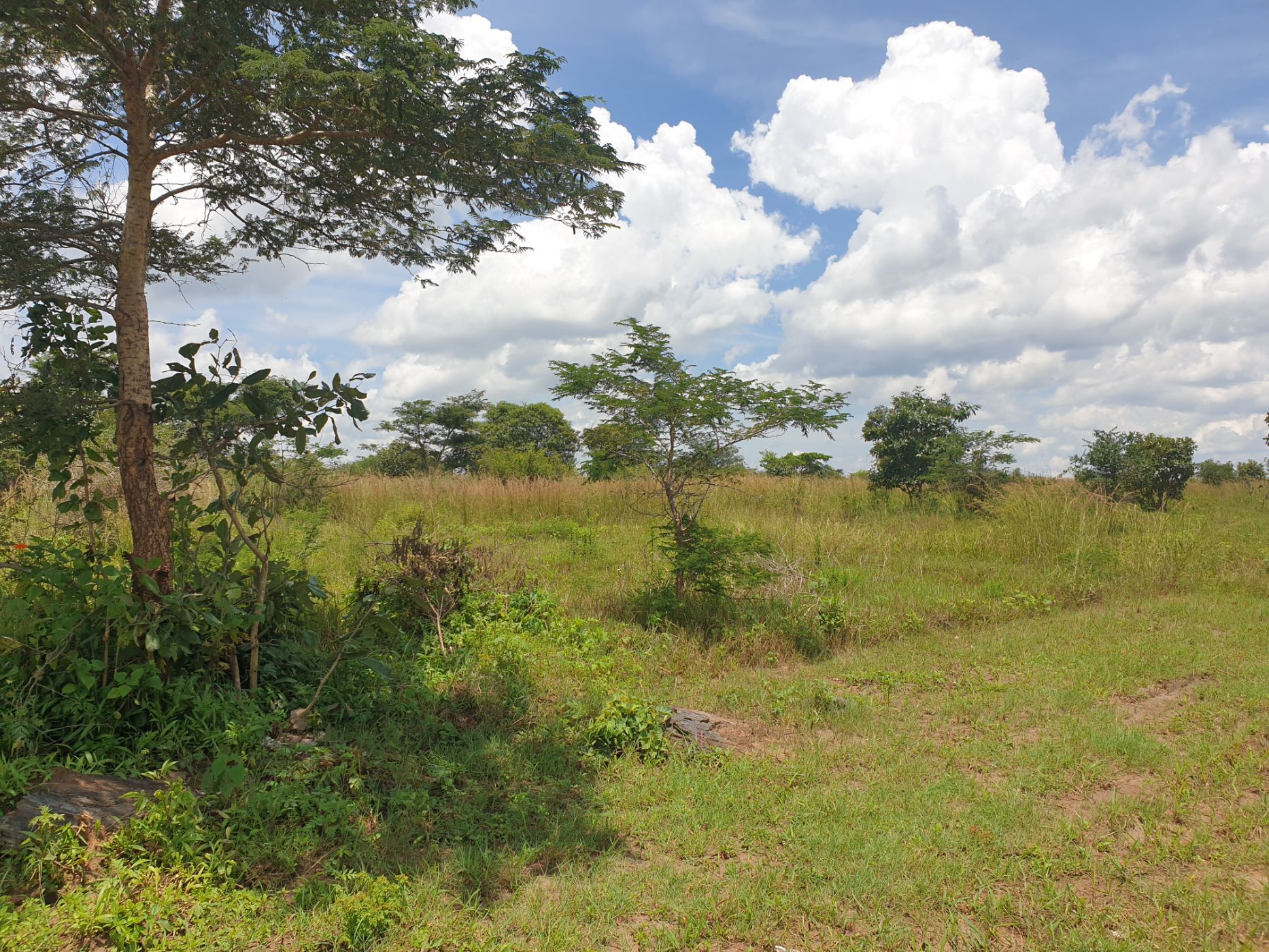 418 hectare Farm Vacant Land For Sale Mpika (Zambia) 3ZA1624095