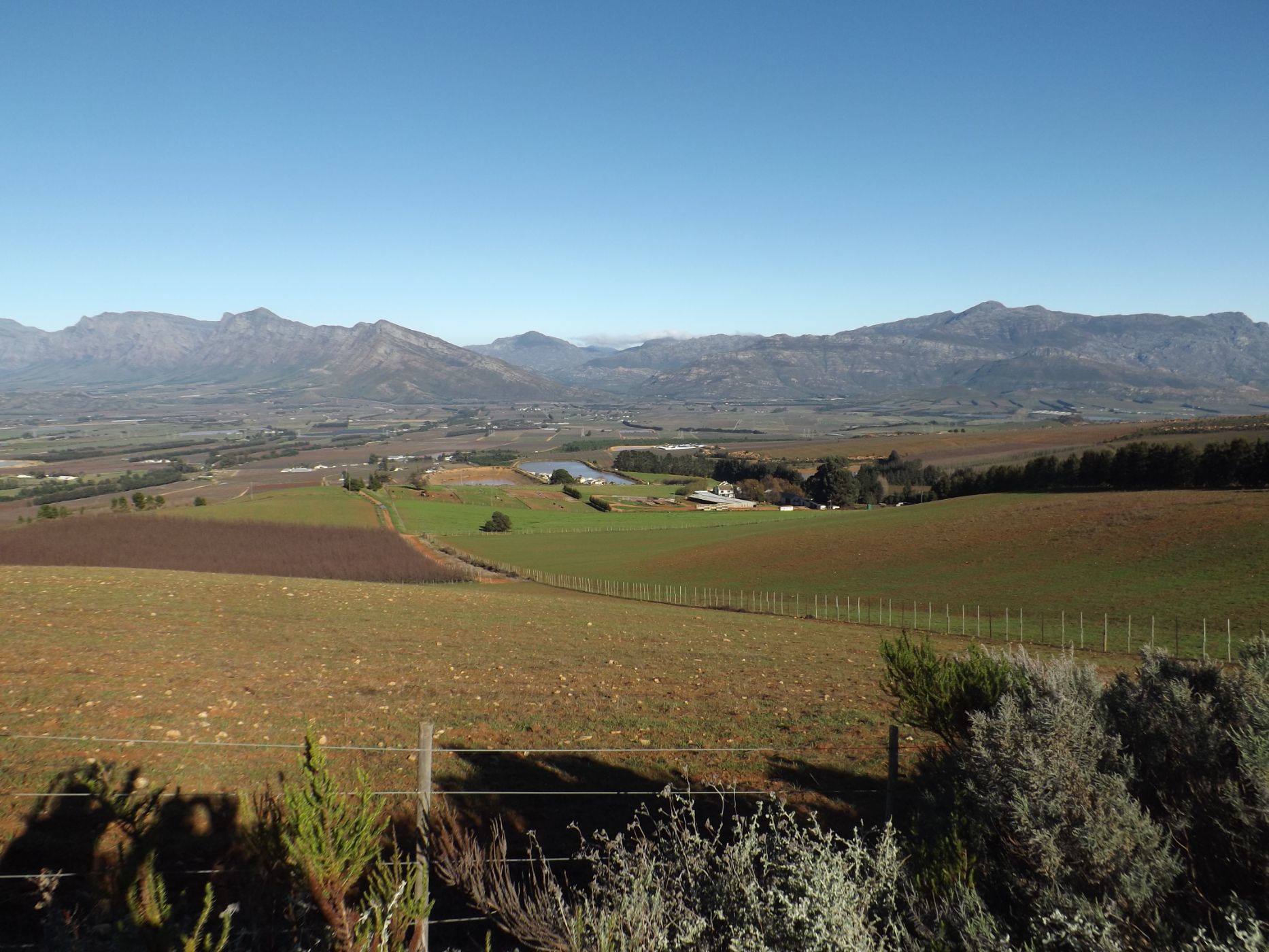 301.29 hectare Livestock Farm For Sale Ceres RV1624452 Pam