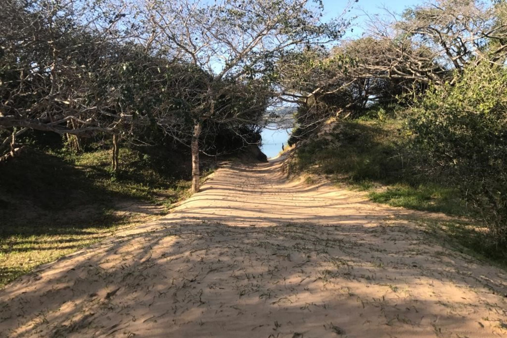 2100 m&sup2; vacant land for investment in Bilene (Mozambique)
