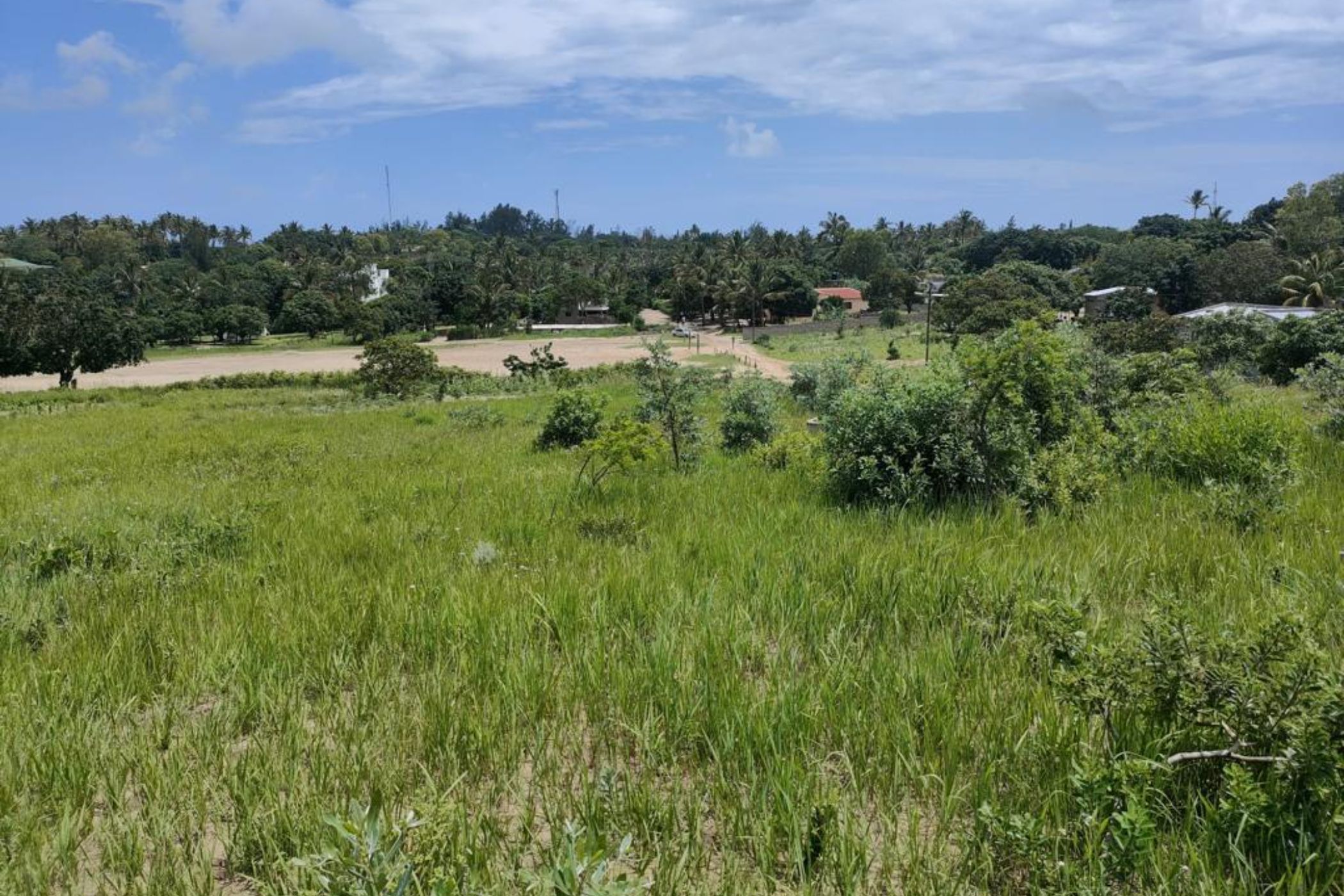3200 m&sup2; vacant land for investment in Bilene (Mozambique)