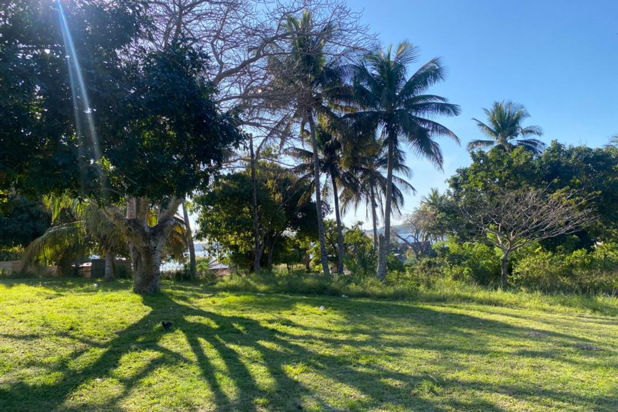 9000 m&sup2; vacant land for investment in Bilene (Mozambique)