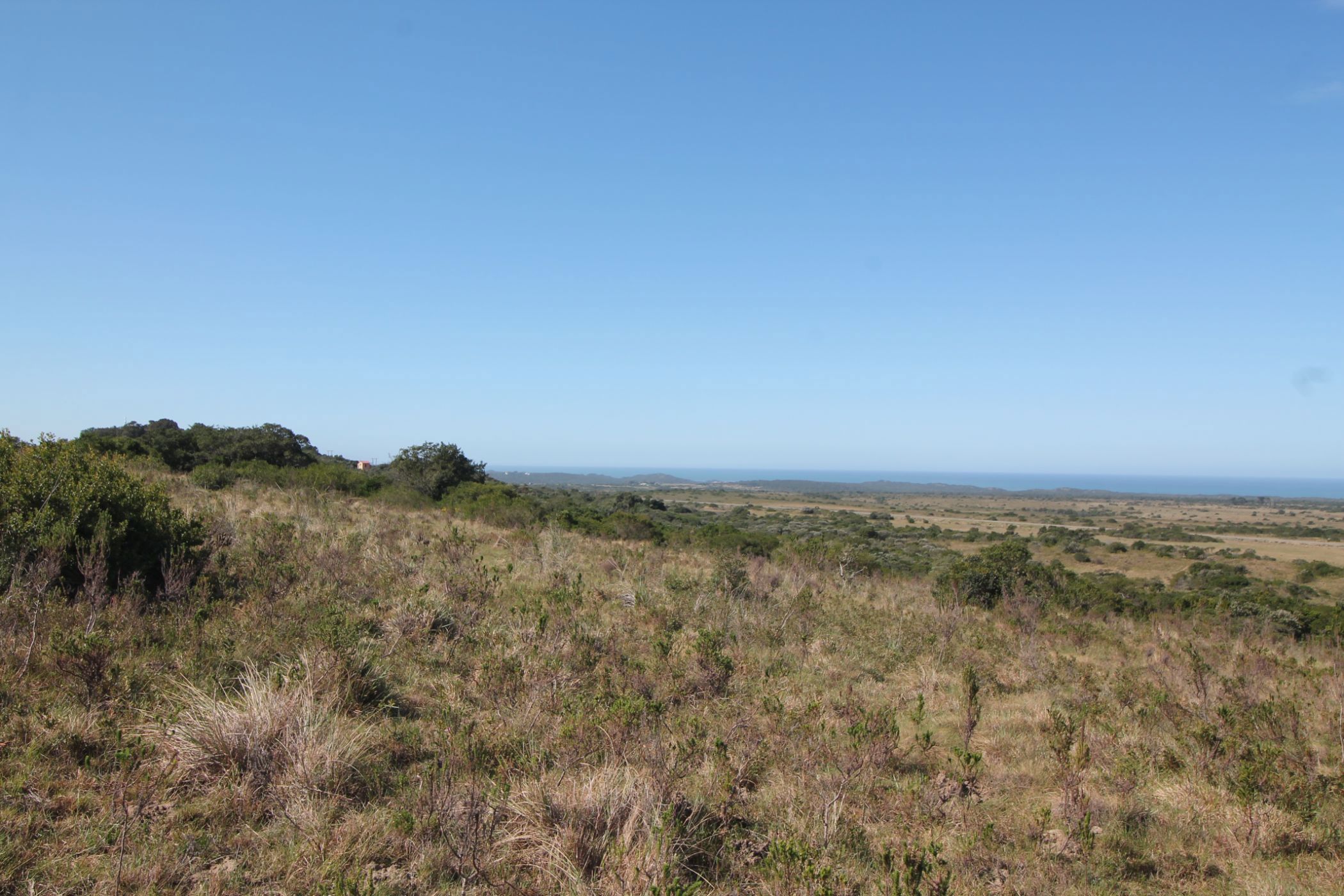 225786 m&sup2; farm vacant land for sale in Bathurst