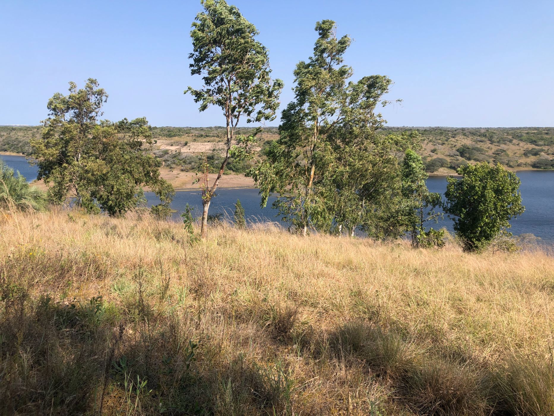 3000 m&sup2; vacant land for investment in Bilene (Mozambique)