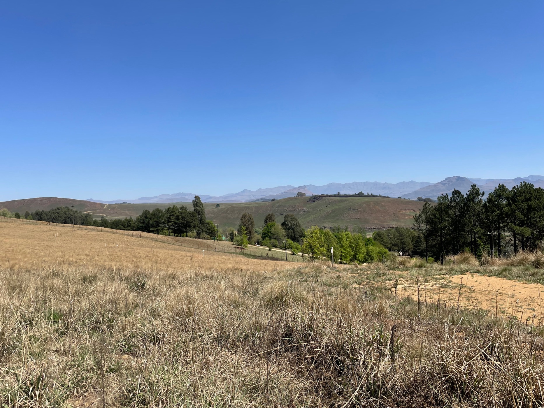 3060 m2 Vacant Land For Sale Underberg 1UB1630964 Pam Golding