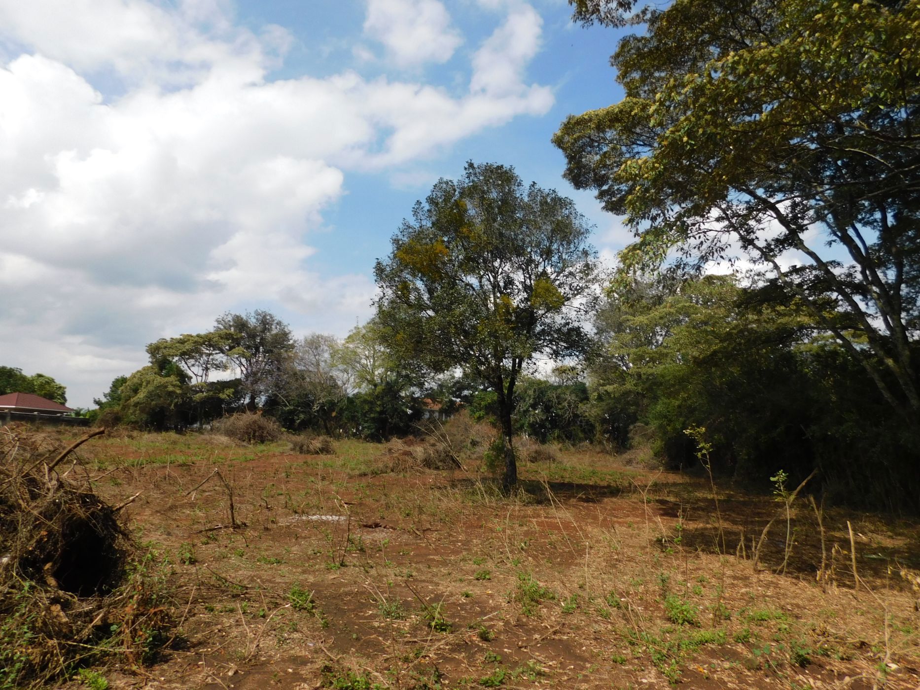1.5 acres residential vacant land for sale in Karen (Kenya)