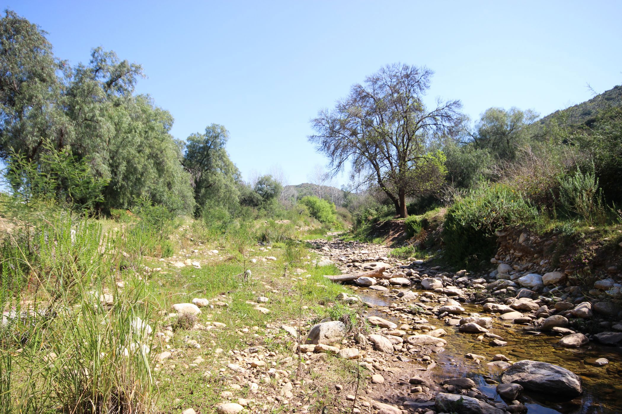 940 m2 Residential Vacant Land For Sale De Rust 1OU1627685 Pam