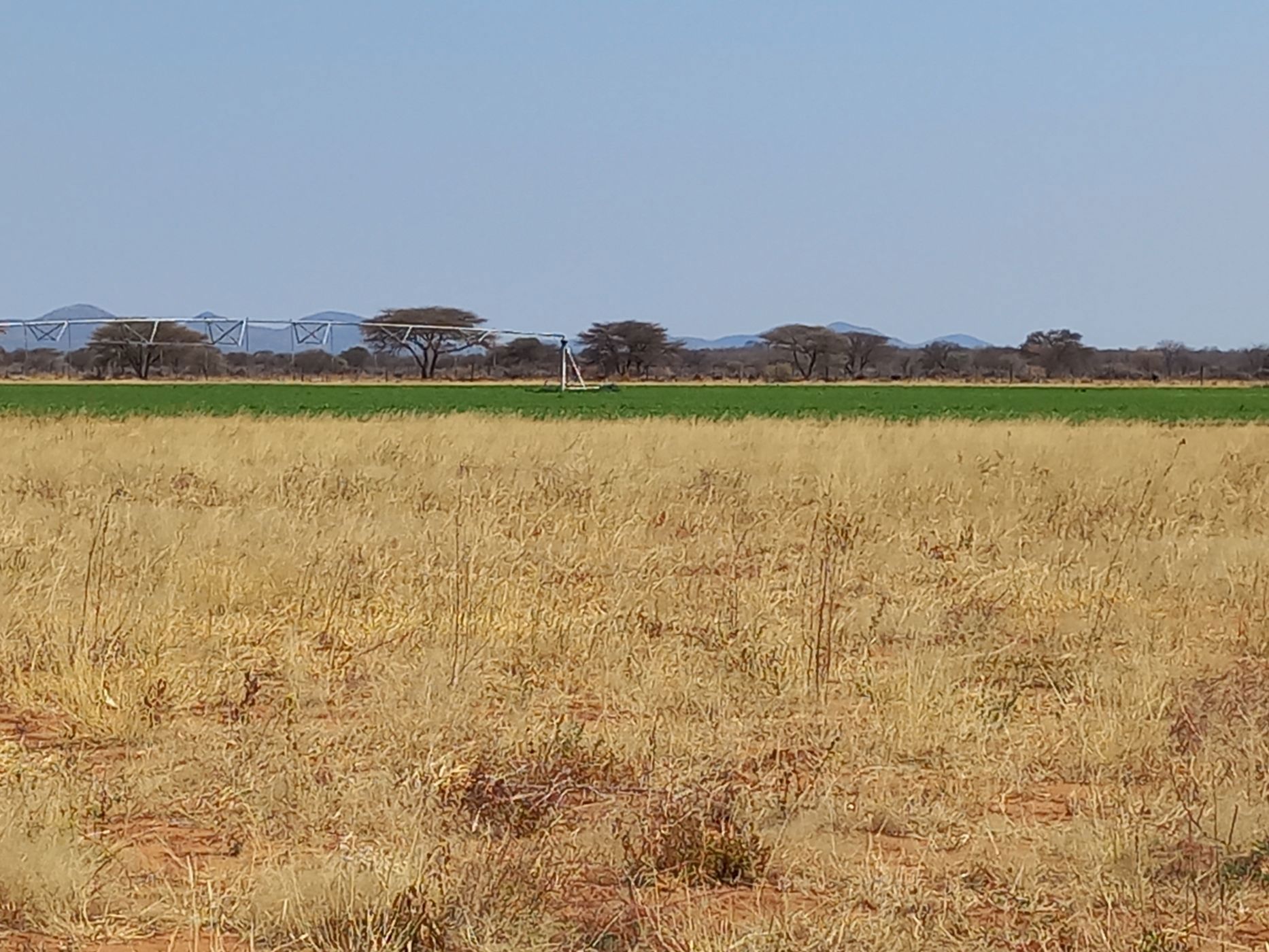 7000 hectare Game Farm For Sale Otavi (Namibia) 3NM1629547 Pam