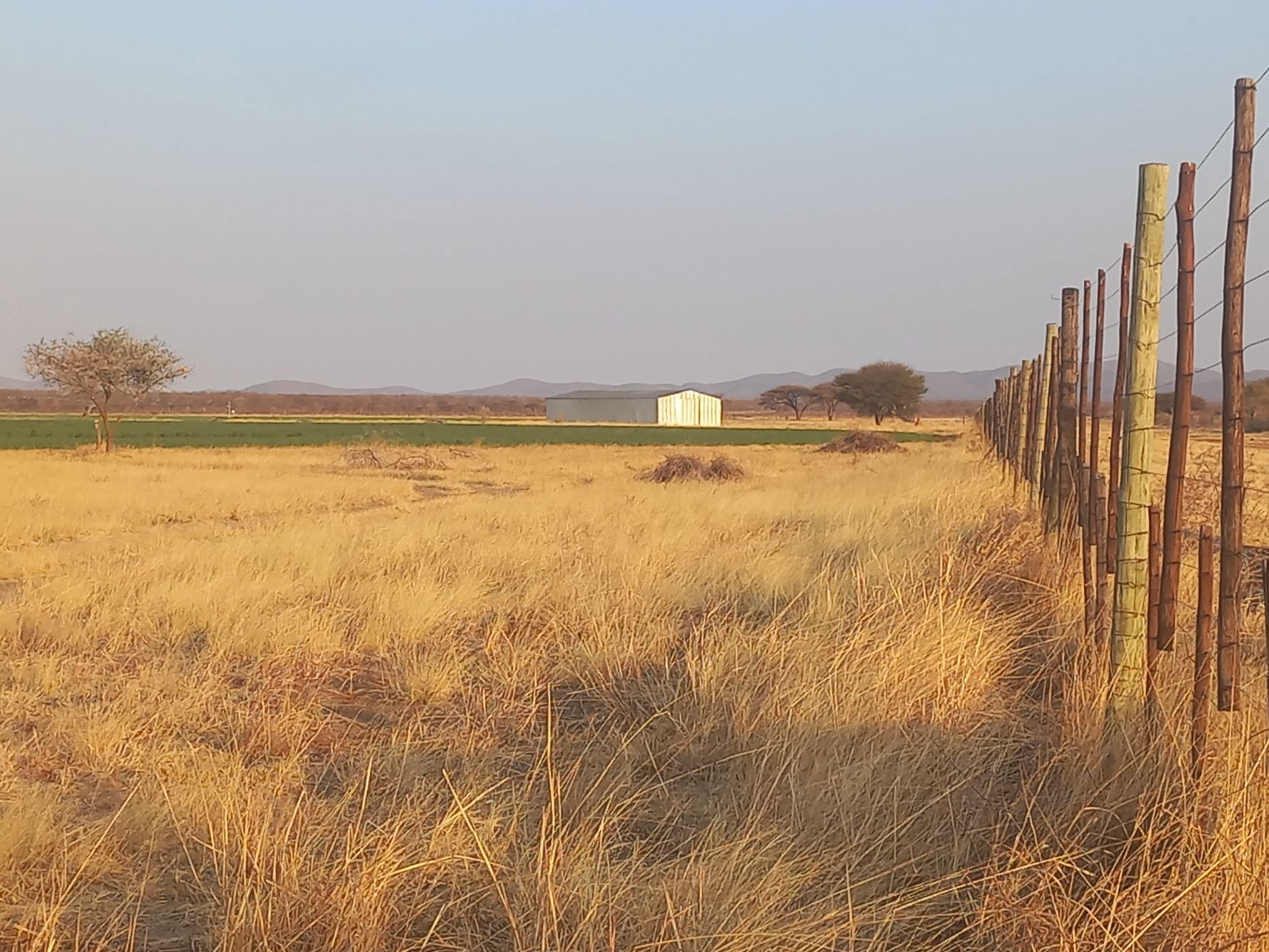 7000 hectare Game Farm For Sale Otavi (Namibia) 3NM1629547 Pam