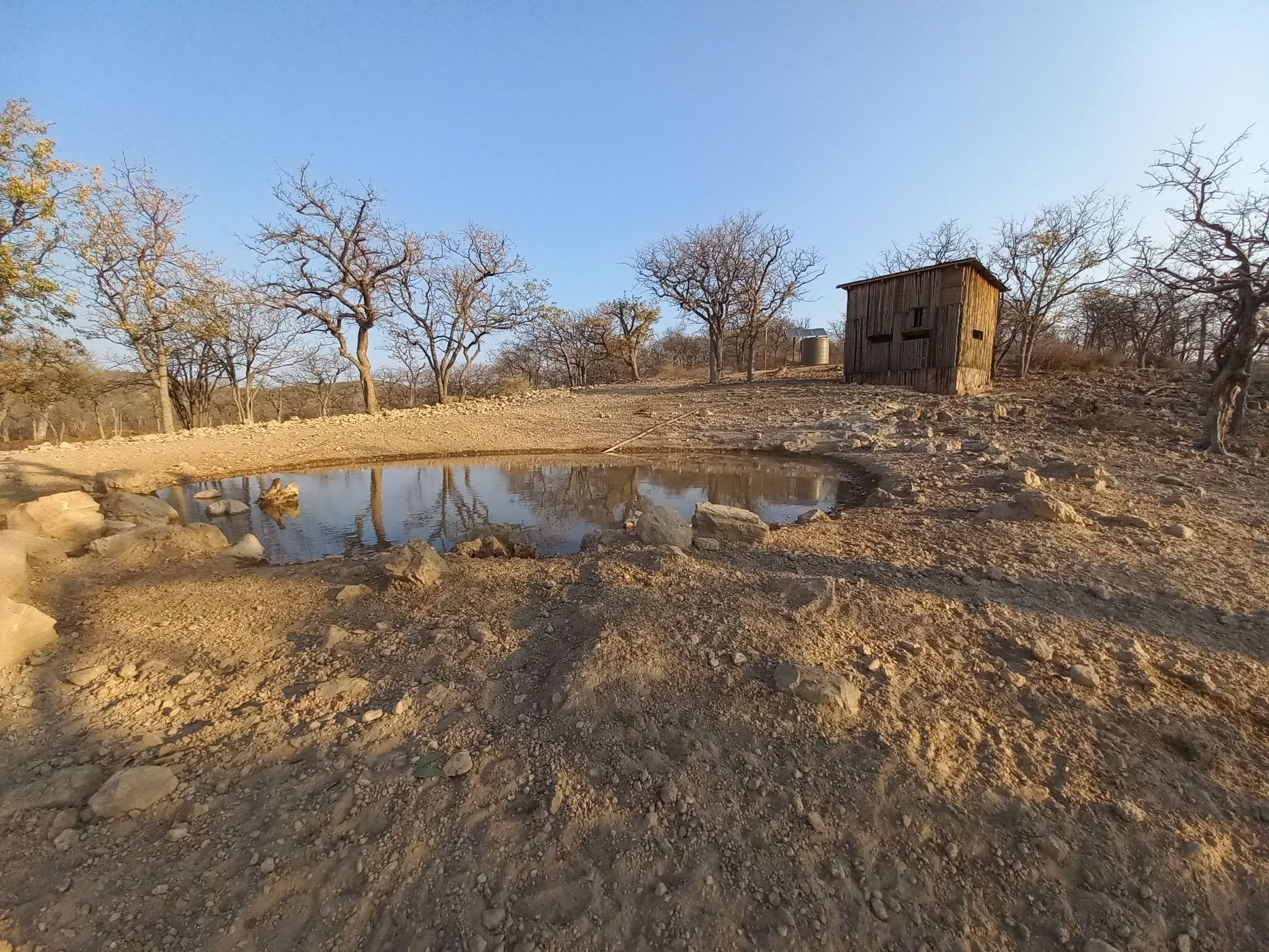 7000 hectare Game Farm For Sale Otavi (Namibia) 3NM1629547 Pam