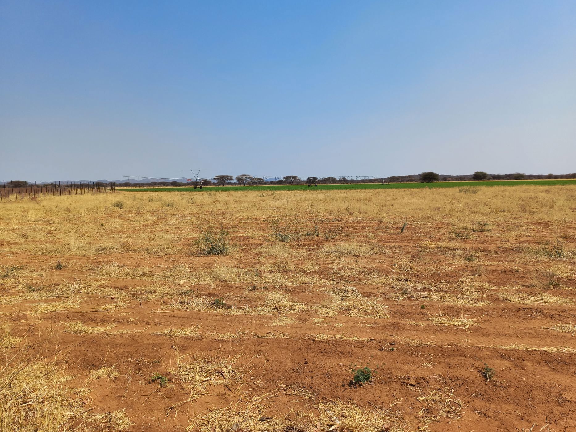 7000 hectare Game Farm For Sale Otavi (Namibia) 3NM1629547 Pam