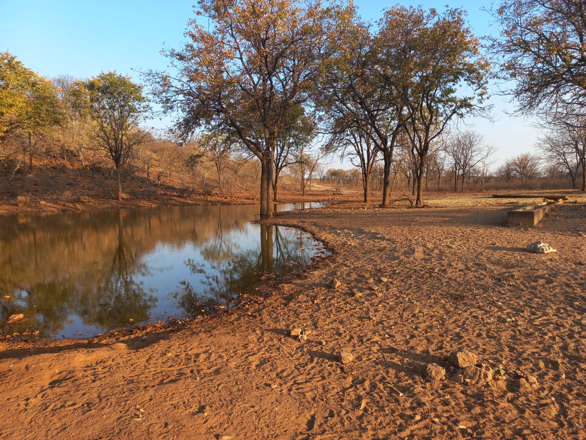 7000 hectare Game Farm For Sale Otavi (Namibia) 3NM1629547 Pam