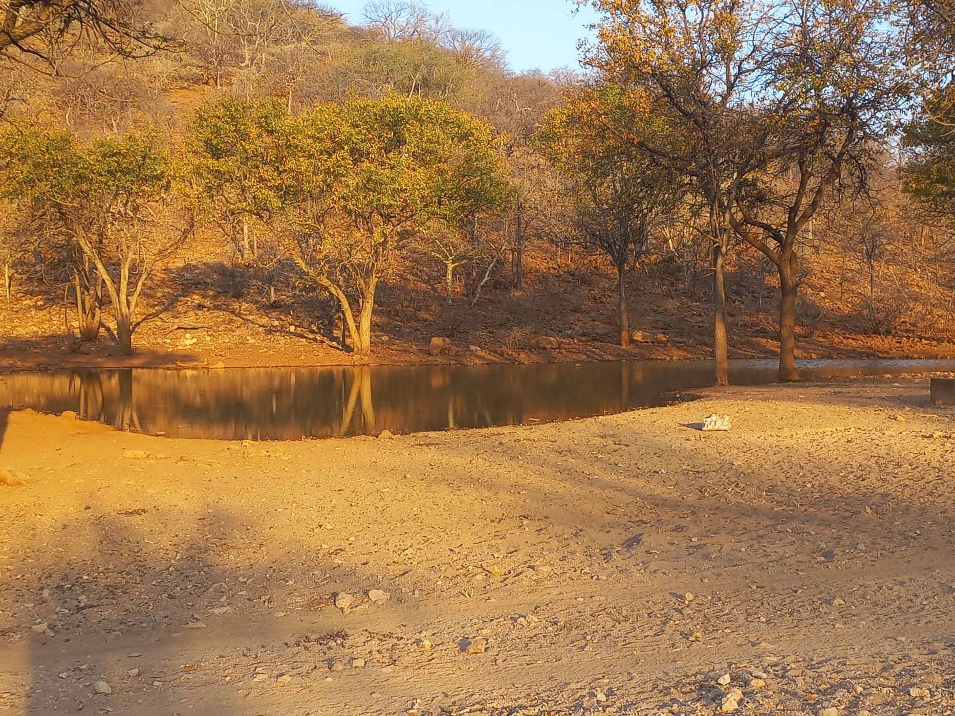 7000 hectare Game Farm For Sale Otavi (Namibia) 3NM1629547 Pam