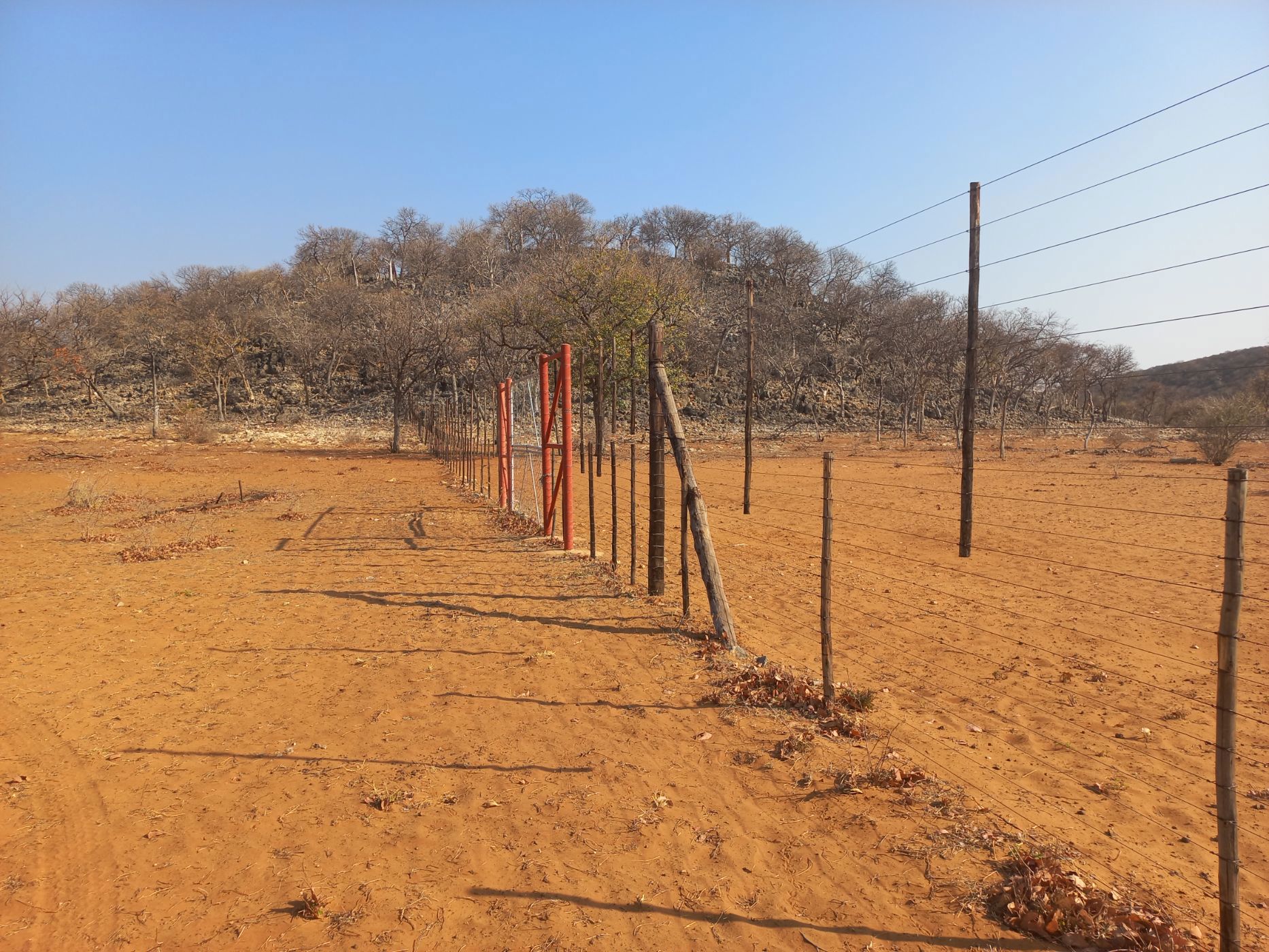7000 hectare Game Farm For Sale Otavi (Namibia) 3NM1629547 Pam