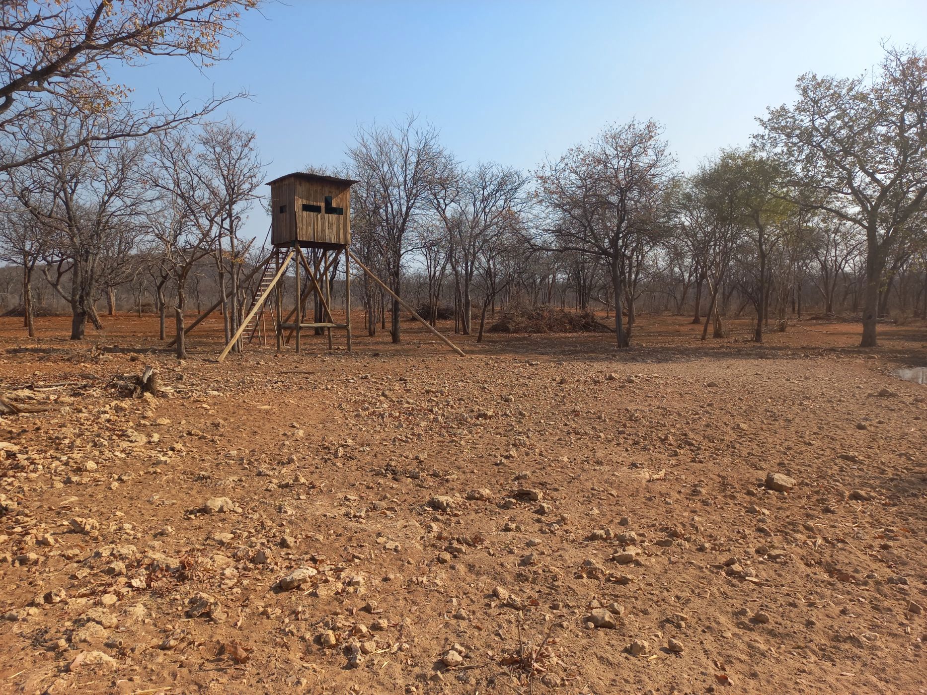 7000 hectare Game Farm For Sale Otavi (Namibia) 3NM1629547 Pam