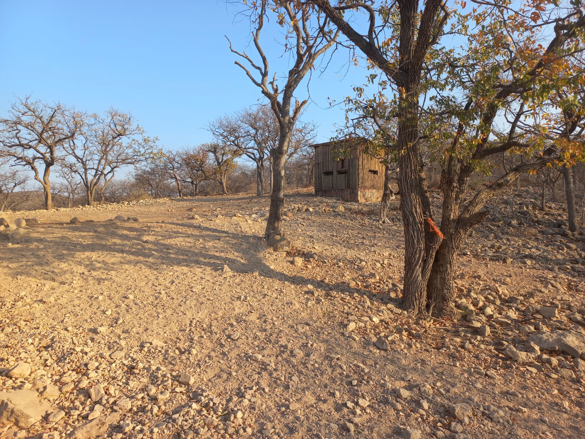 7000 hectare Game Farm For Sale Otavi (Namibia) 3NM1629547 Pam