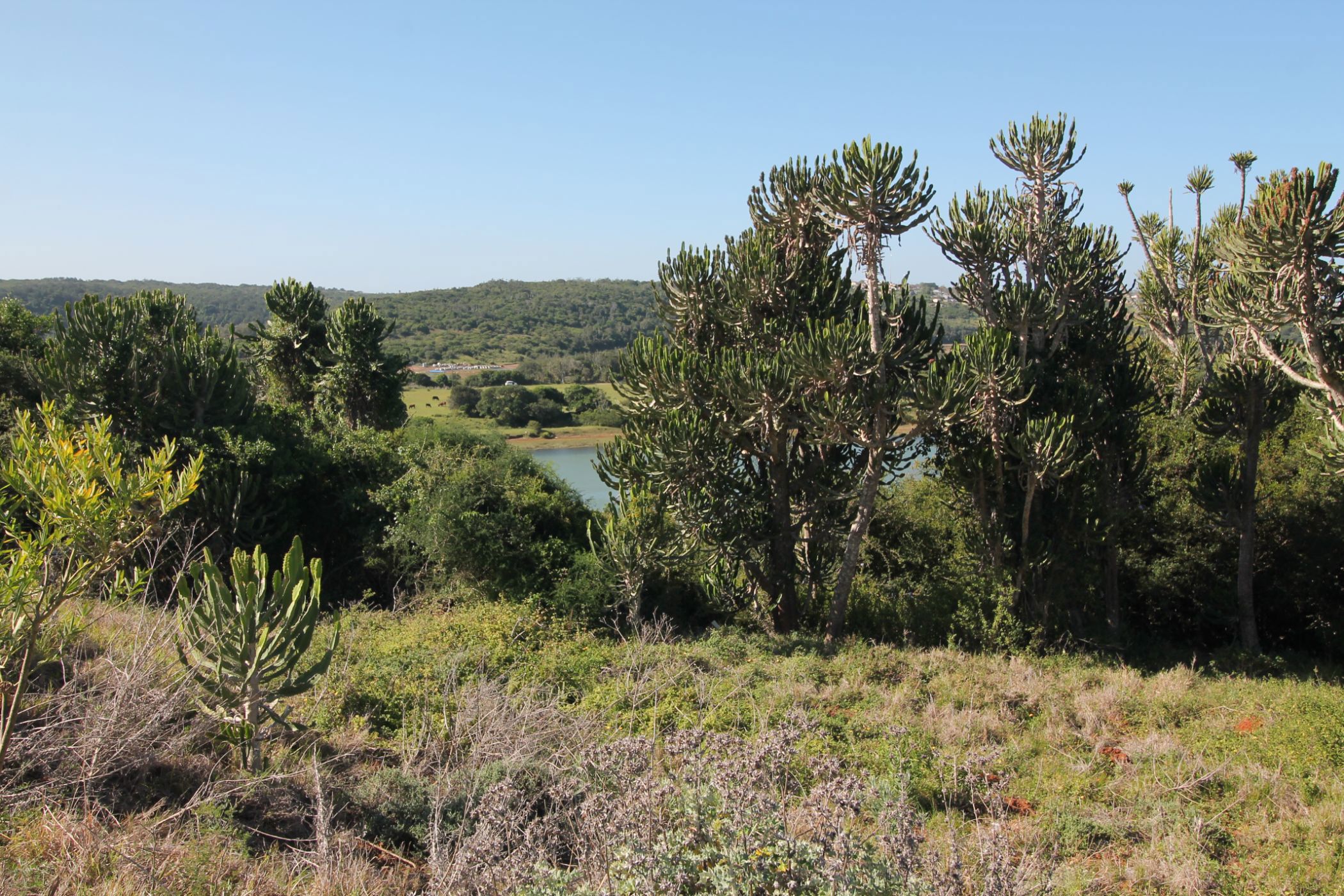 1300 m&sup2; residential vacant land for sale in West Bank (Port Alfred)