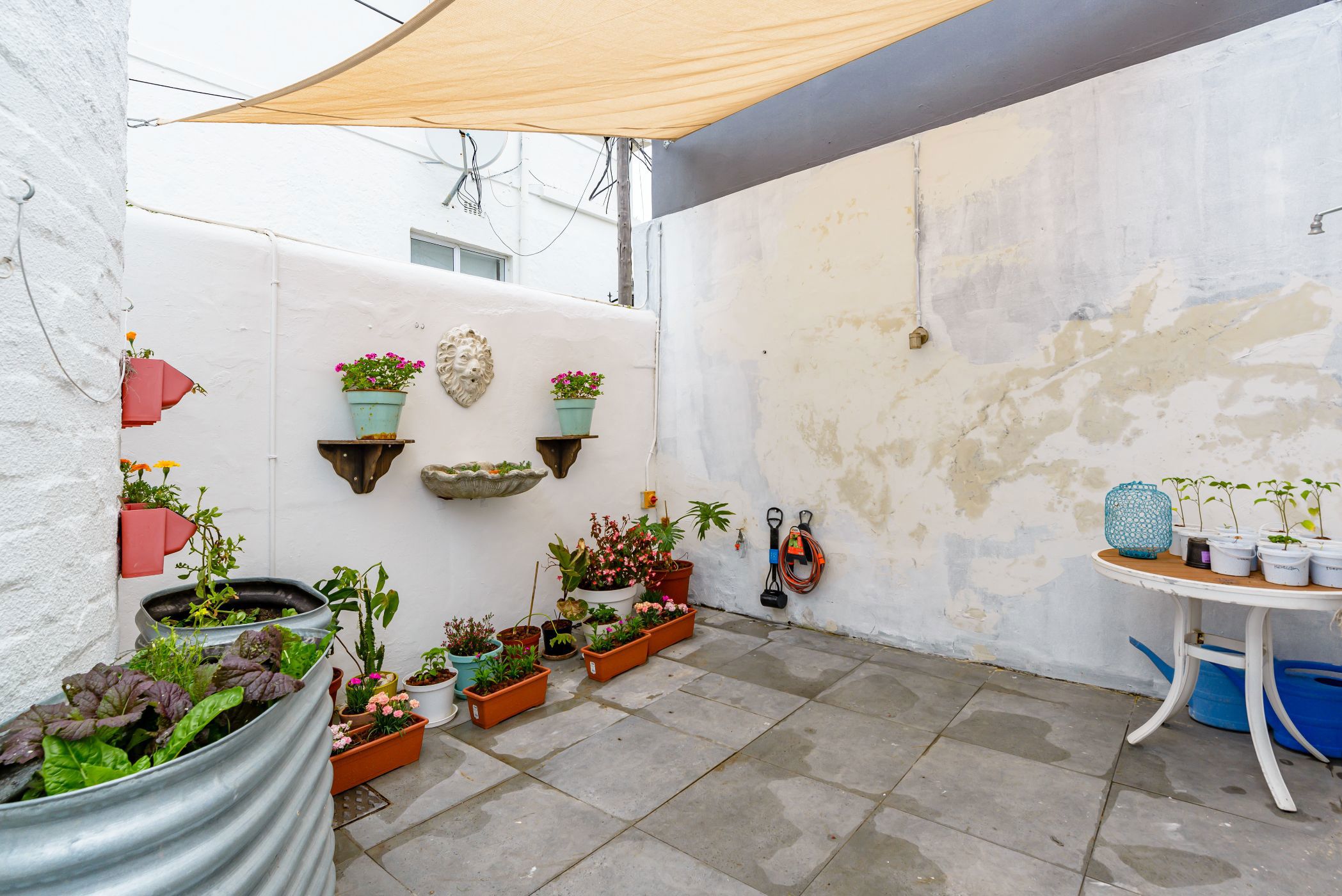 2 Bedroom House For Sale Sea Point AS1633166 Pam Golding Properties