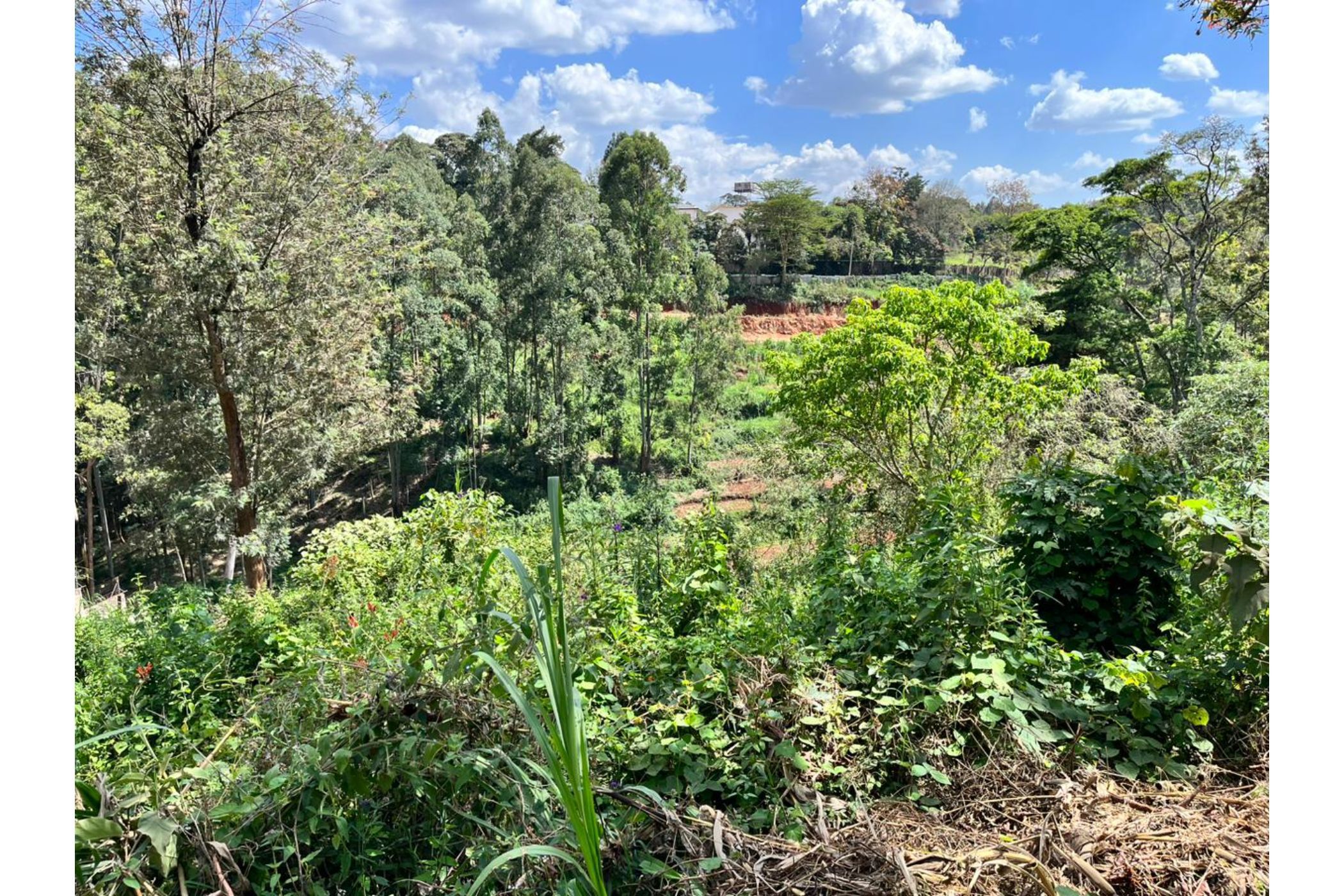 2.5 acres residential vacant land for sale in Kitisuru (Kenya)