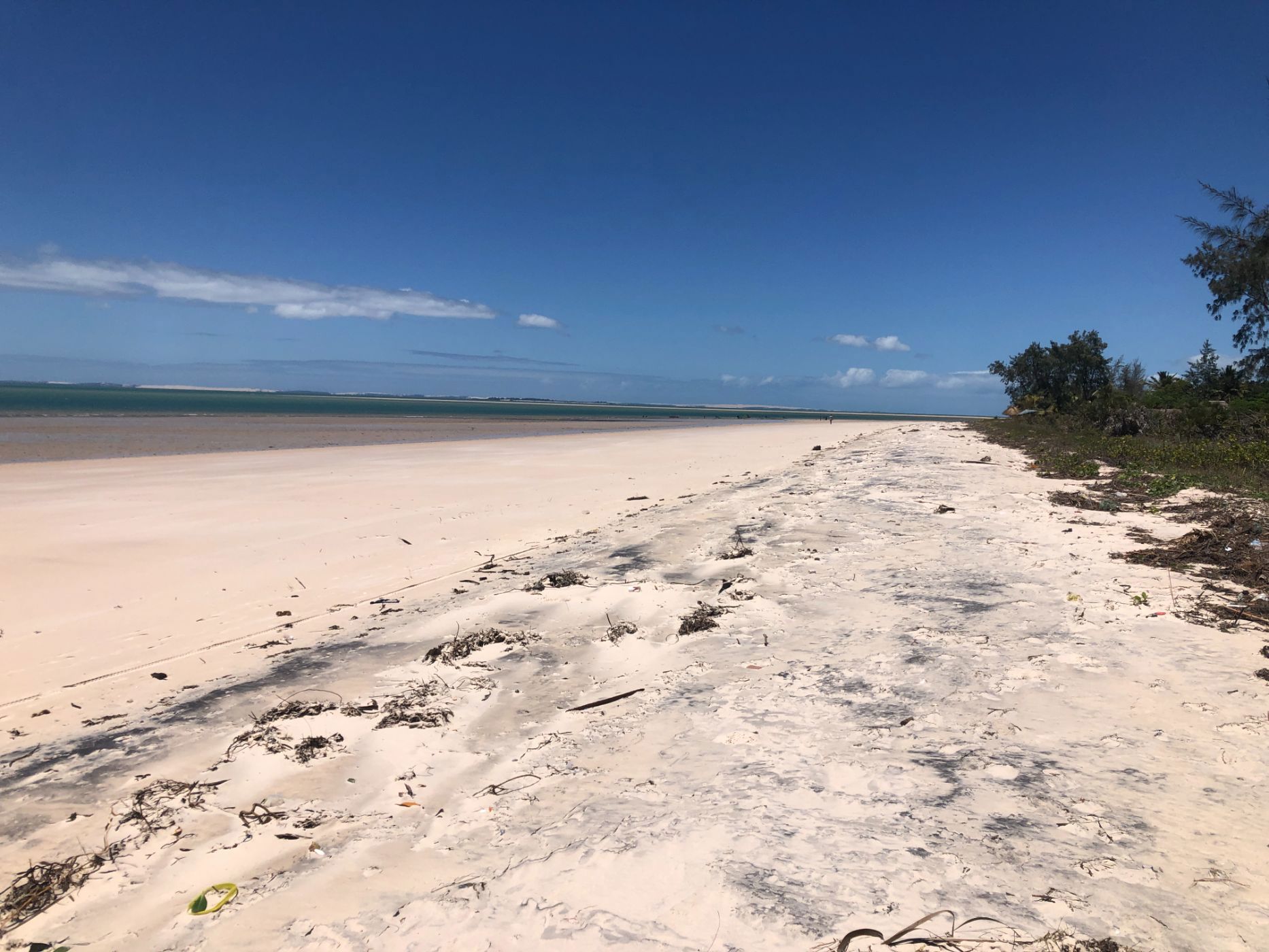 1.2 hectare vacant land for investment in Inhassoro (Inhambane, Mozambique)