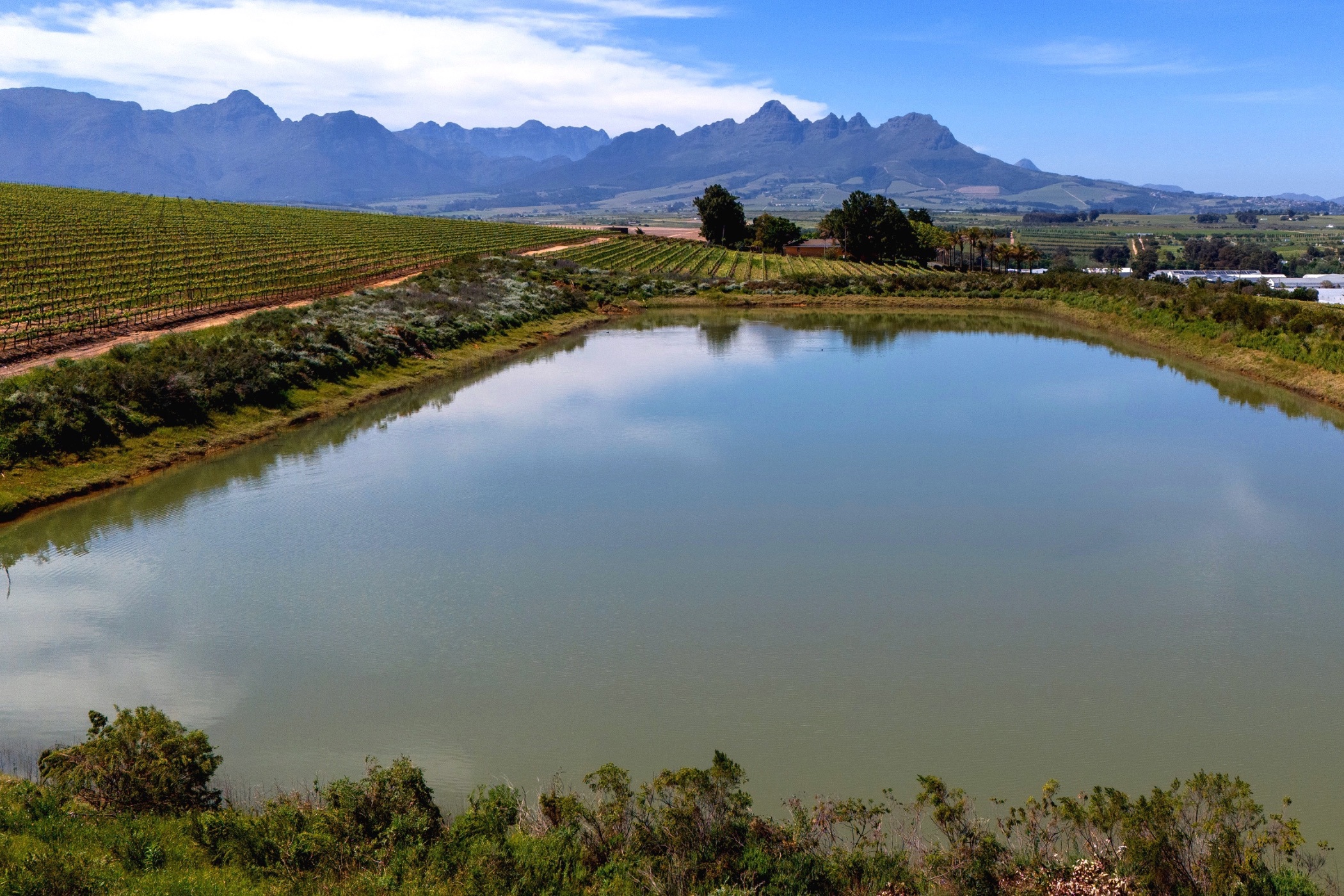 160 hectare wine farm for sale in Stellenbosch Farms