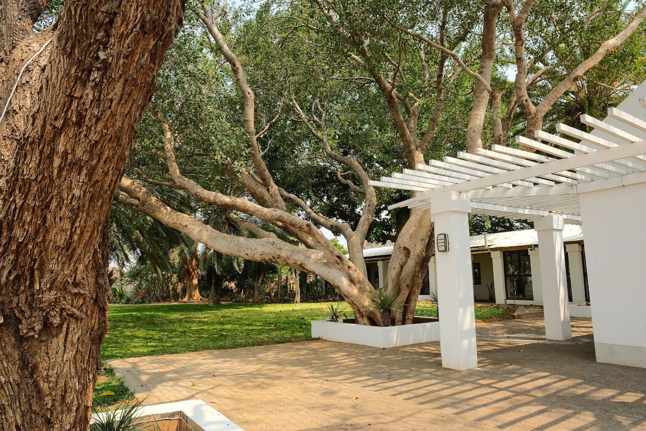 7000 hectare Game Farm For Sale Otavi (Namibia) 3NM1629547 Pam