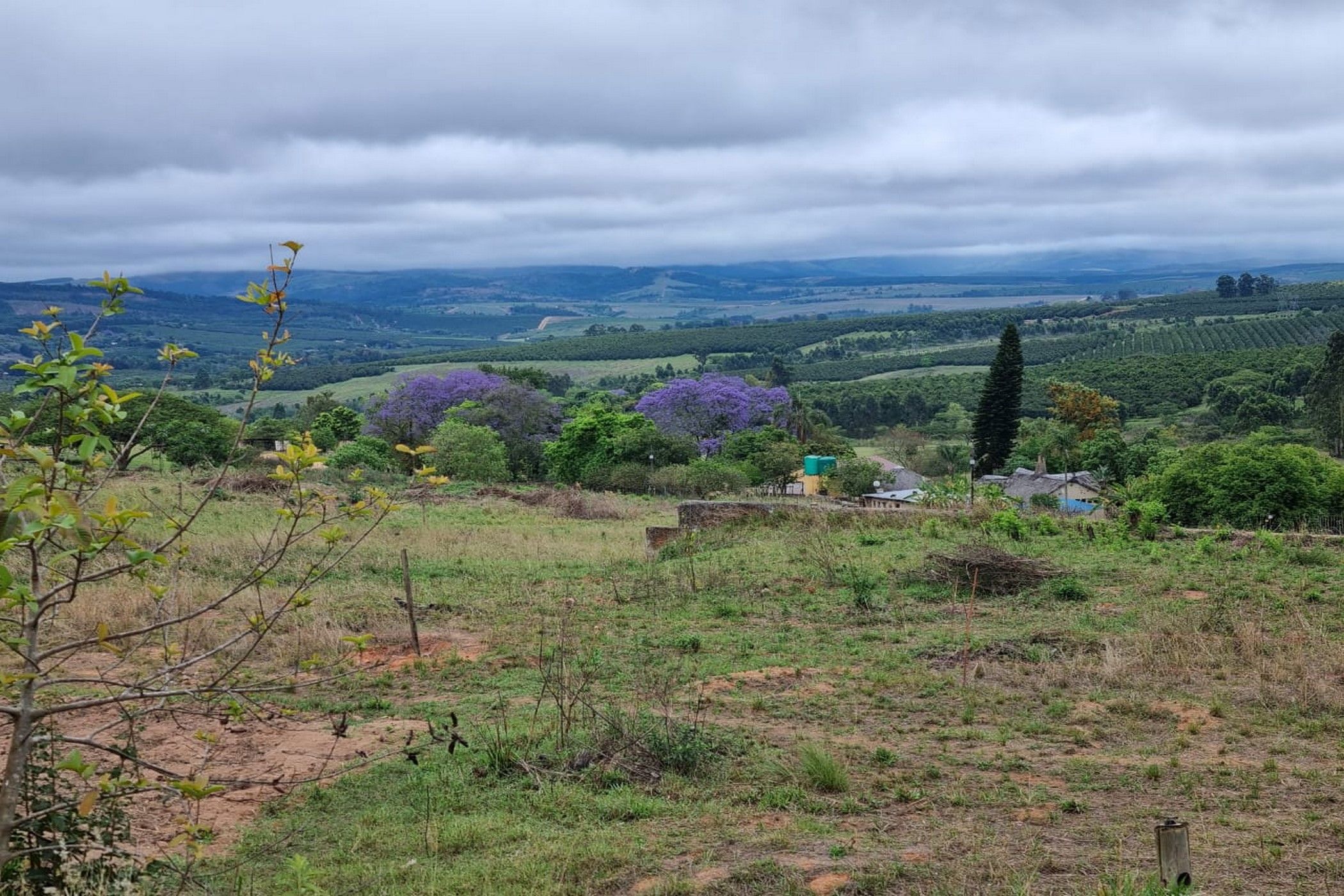 42866 m2 Vacant Land For Sale White River AH 1WR1632306 Pam